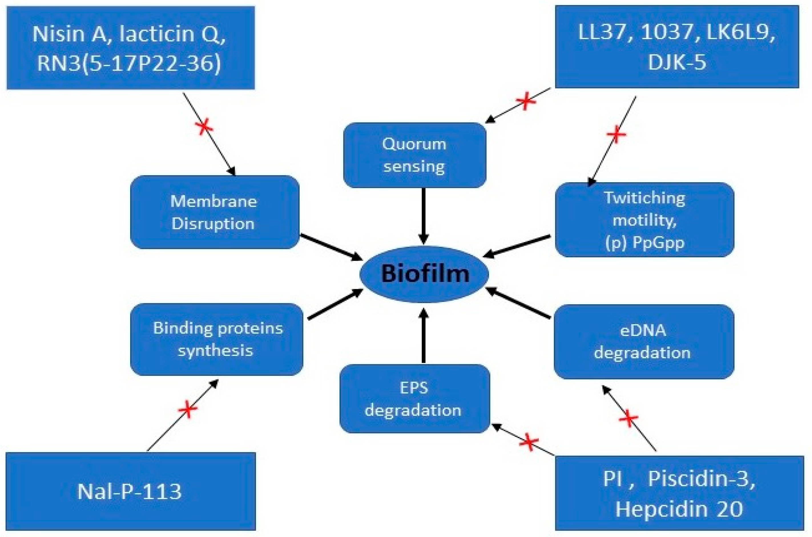 Materials | Free Full-Text | Action of Antimicrobial Peptides against