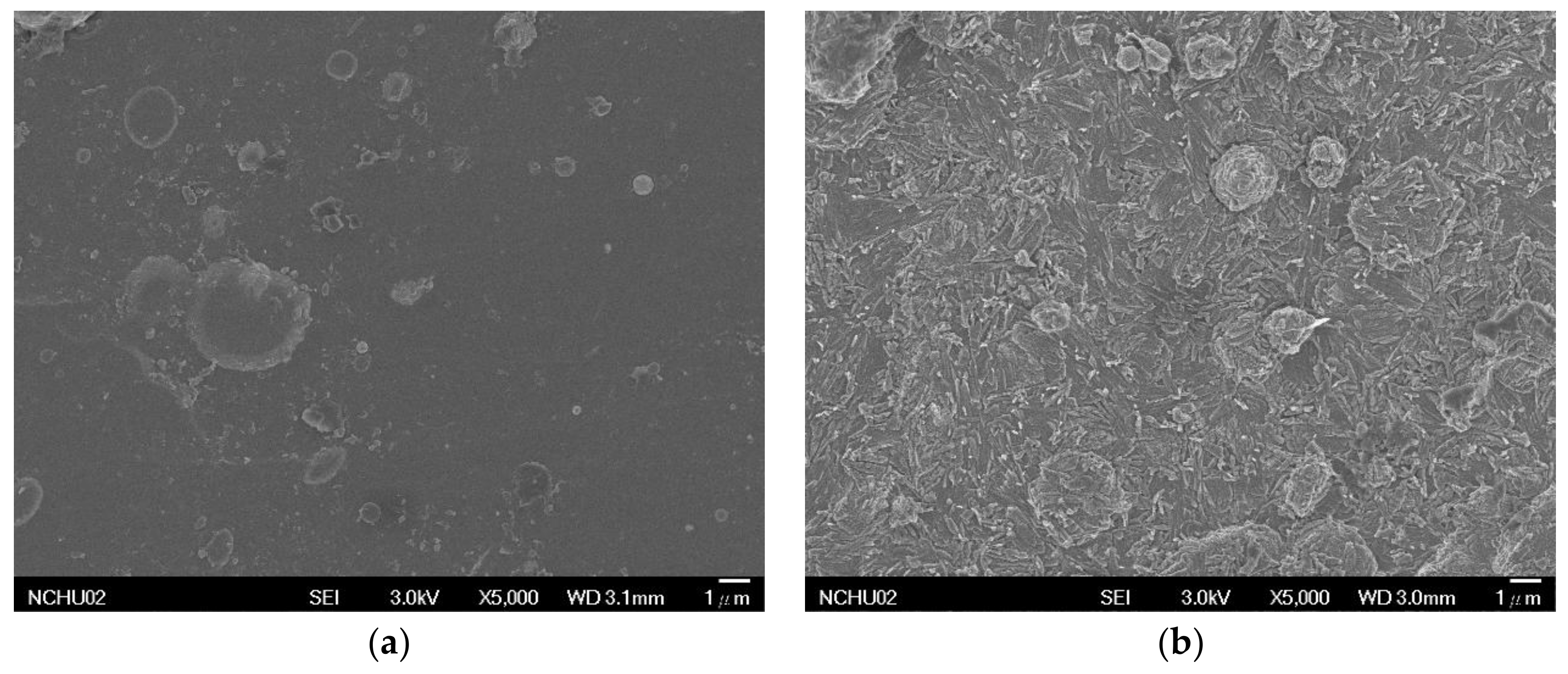 Materials 11 02495 g002a