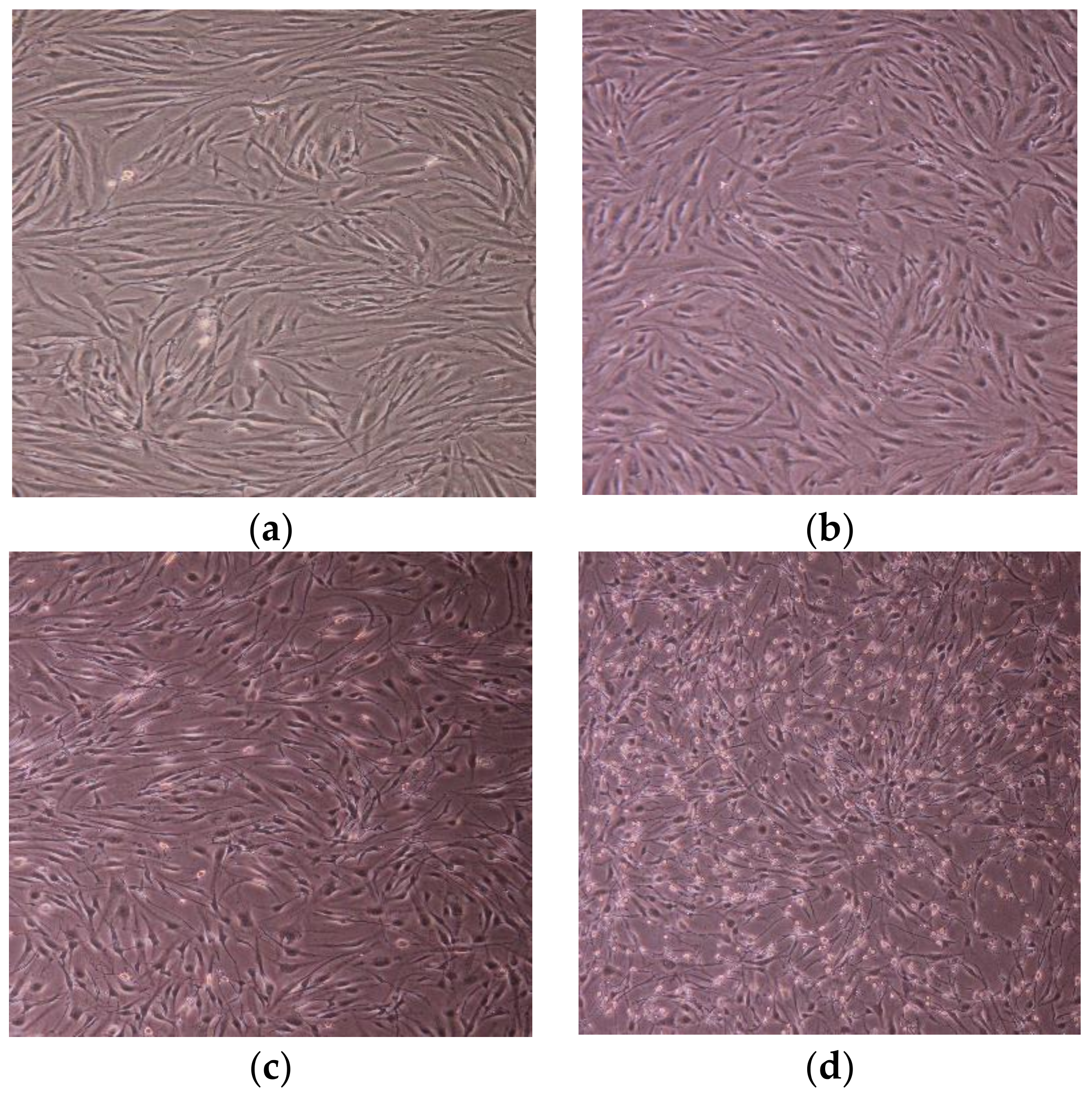 Materials 11 02495 g015