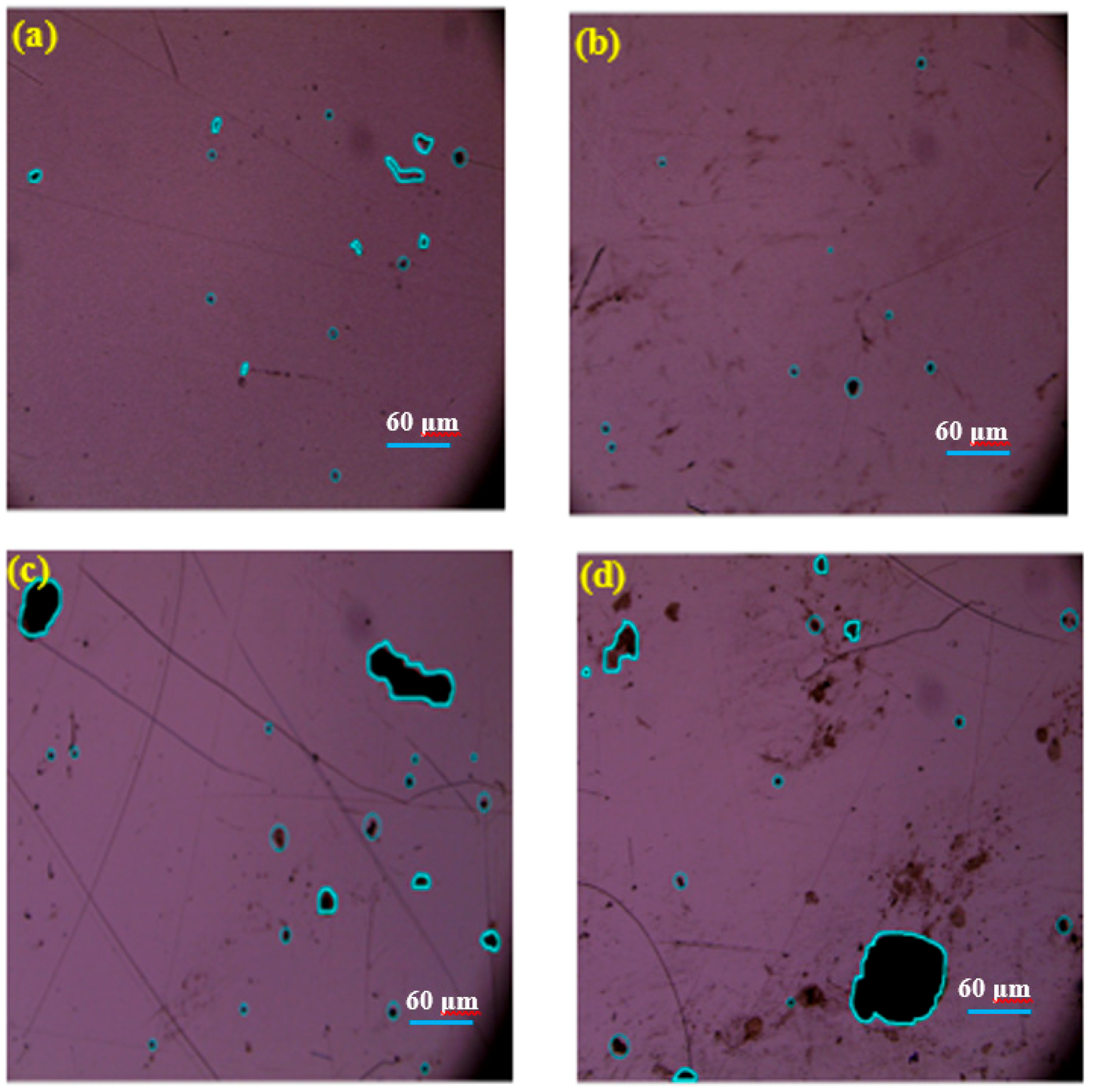 Materials 11 02496 g008