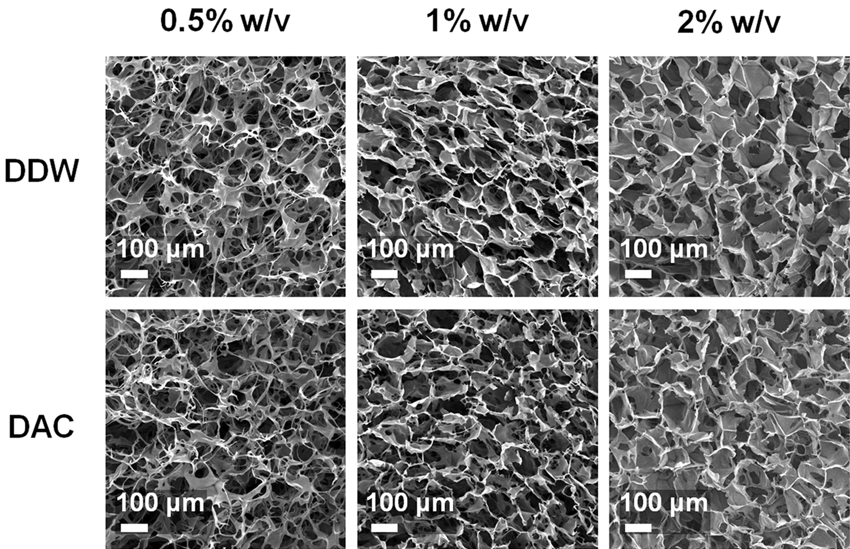 Materials 11 02518 g005
