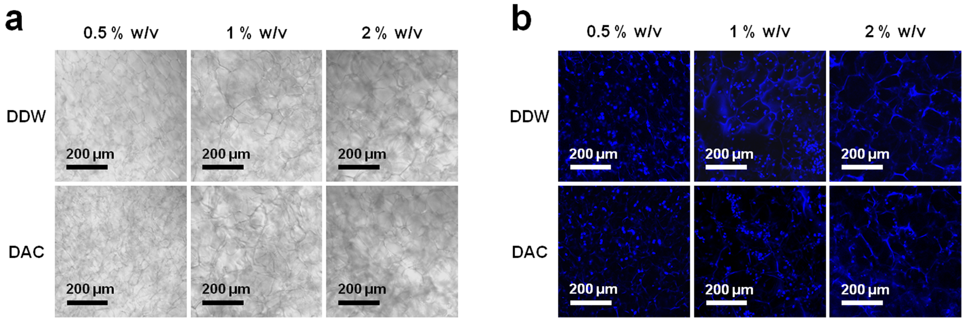 Materials 11 02518 g010