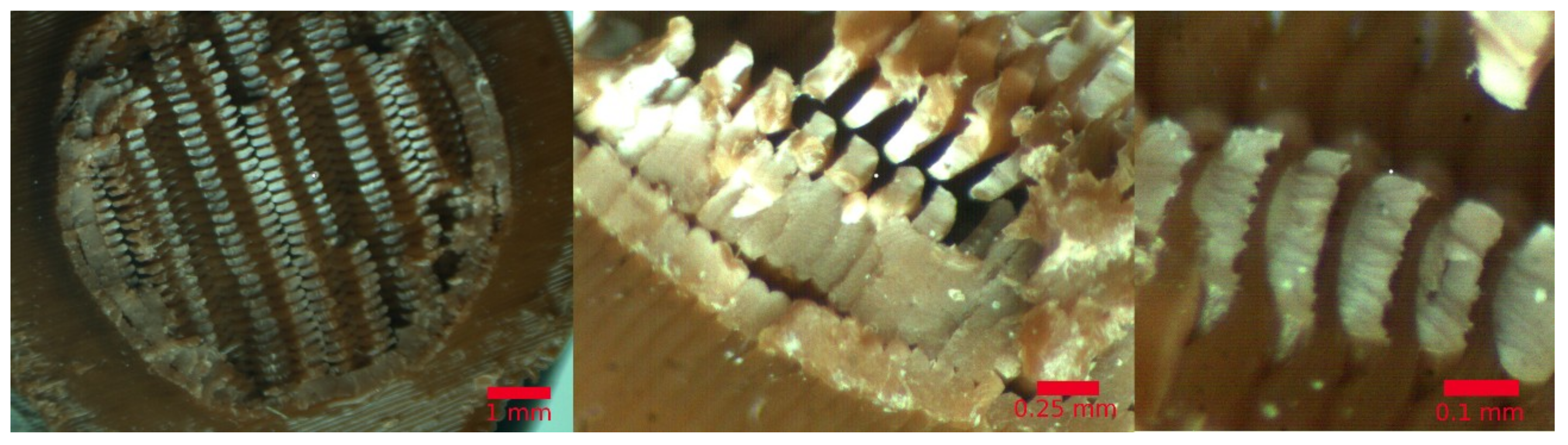 Materials 11 02521 g005