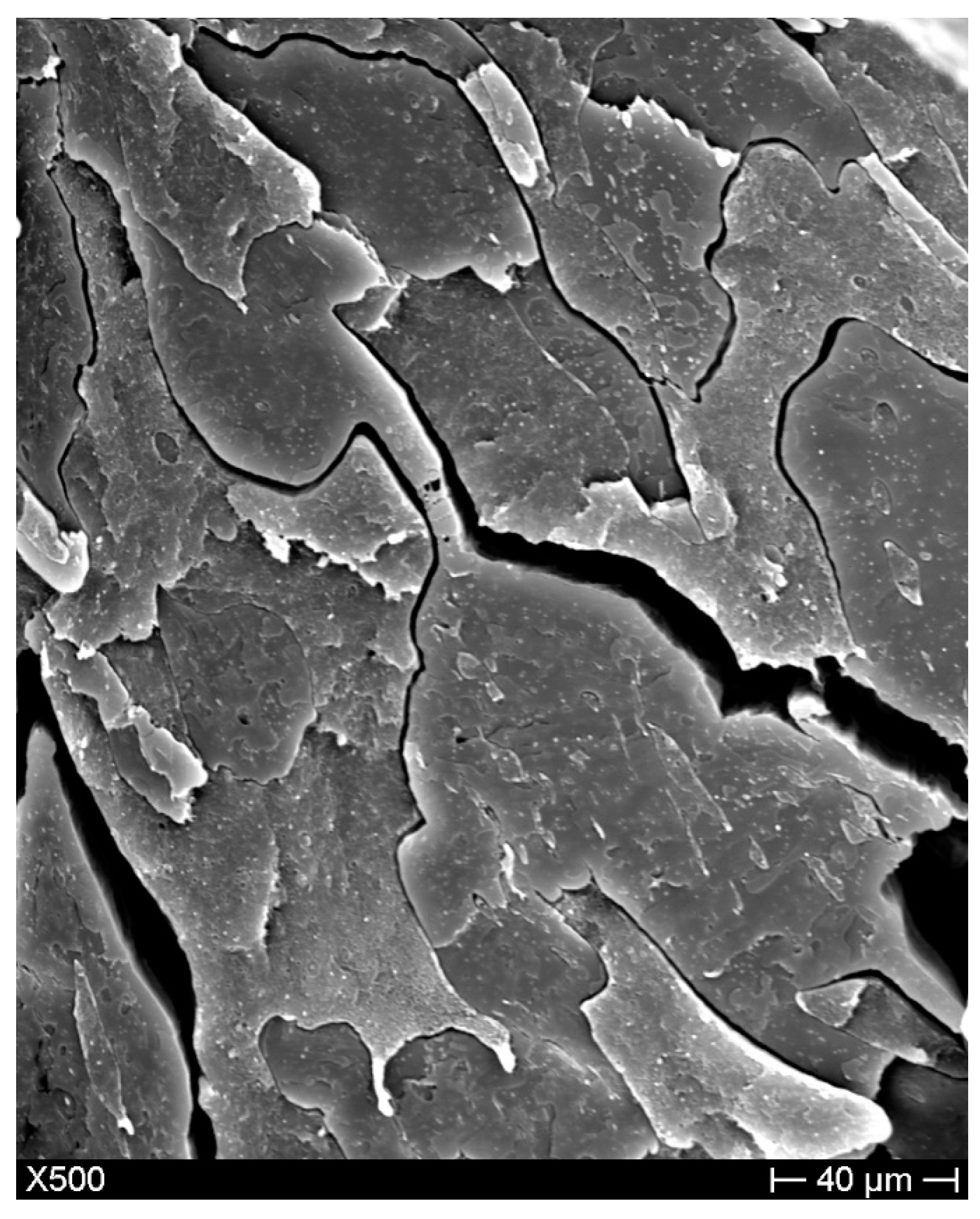 Materials 11 02527 g003