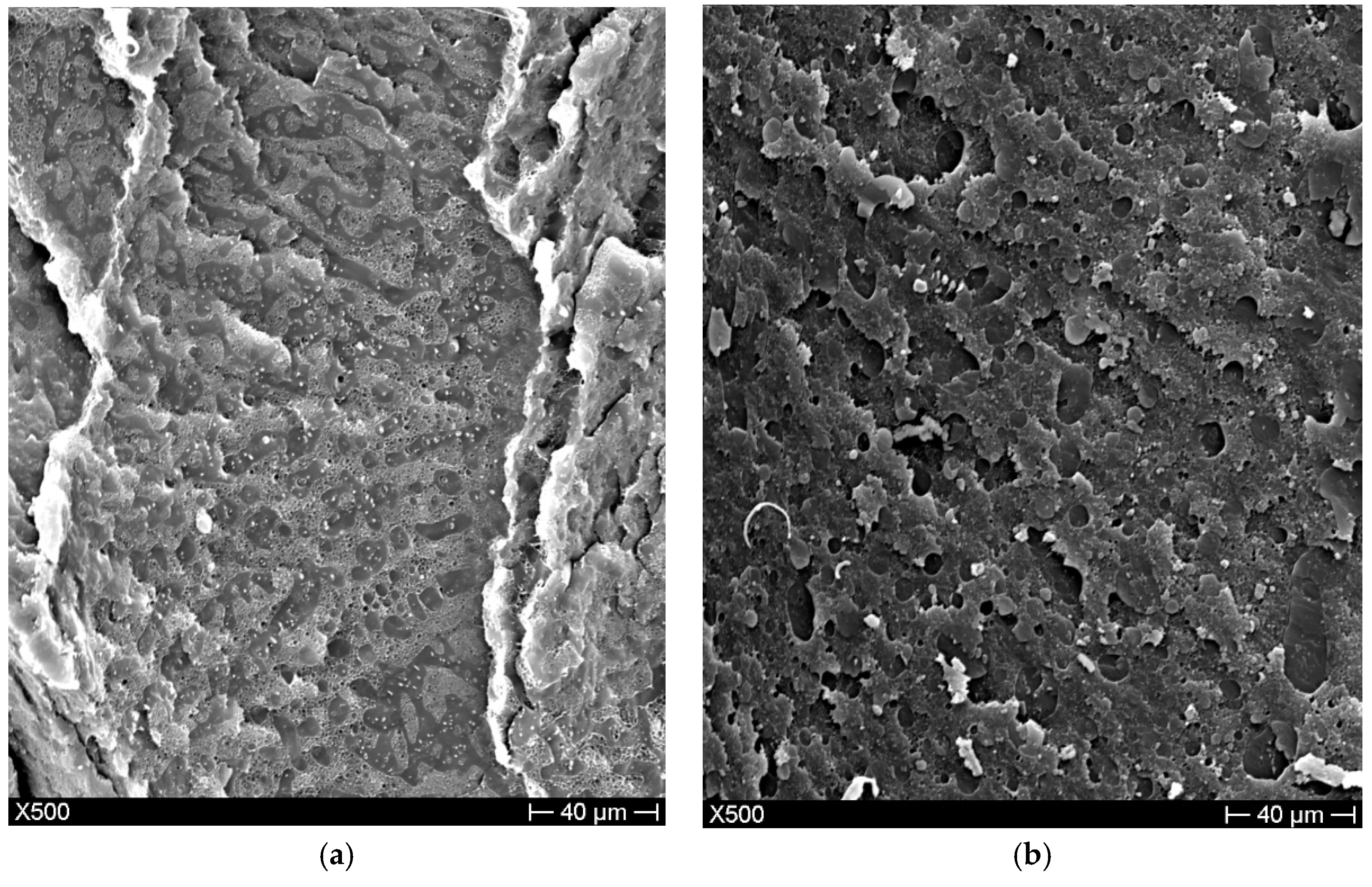 Materials 11 02527 g004