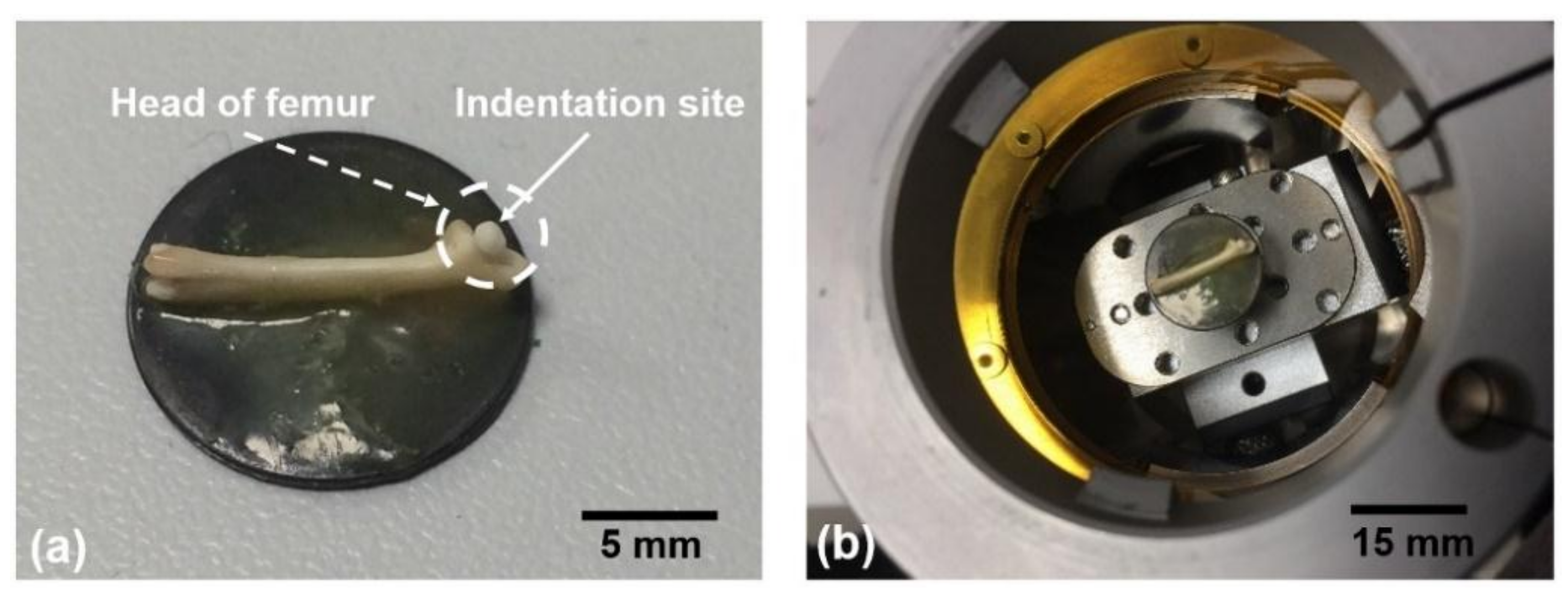 Materials 11 02533 g001