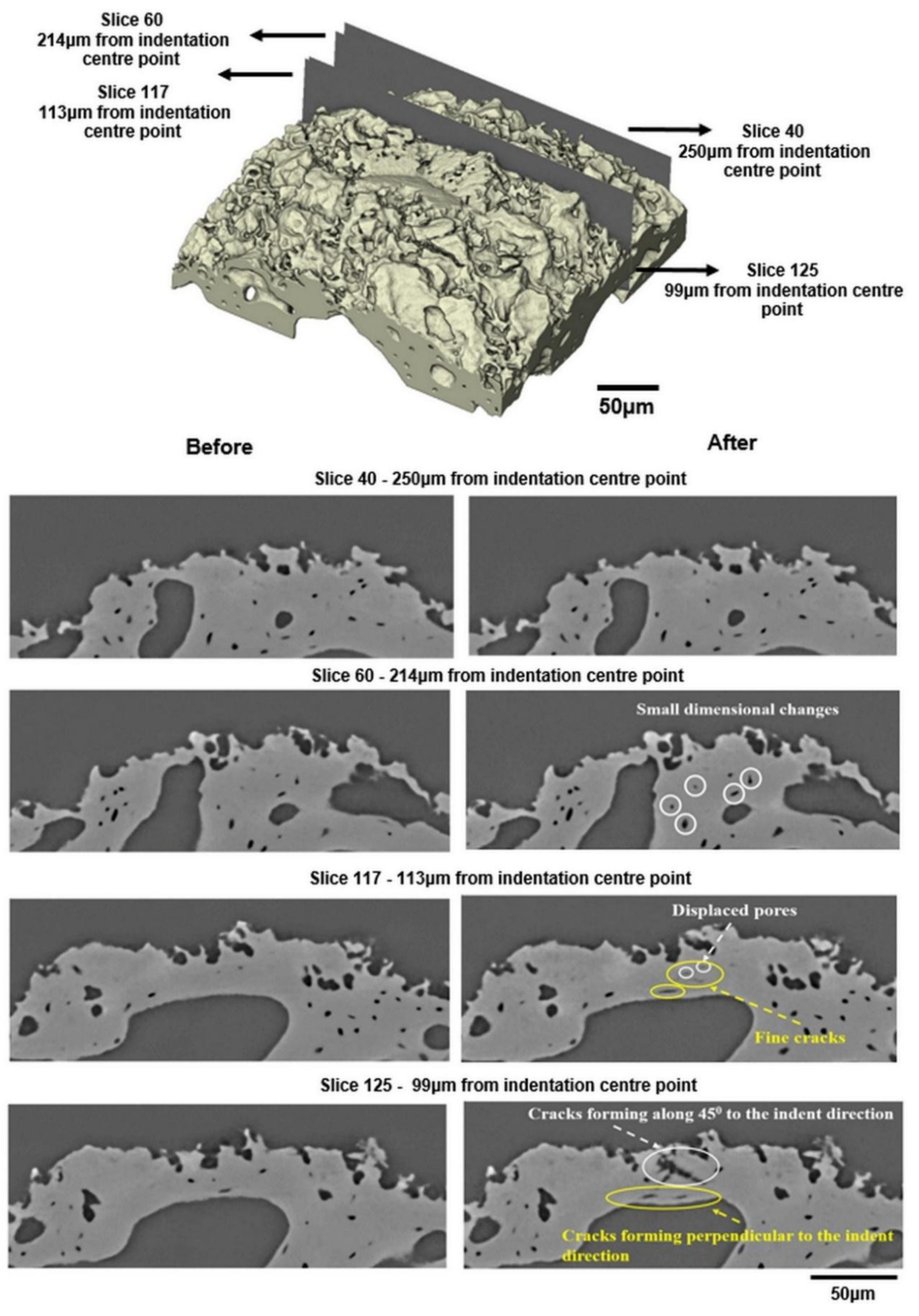 Materials 11 02533 g008