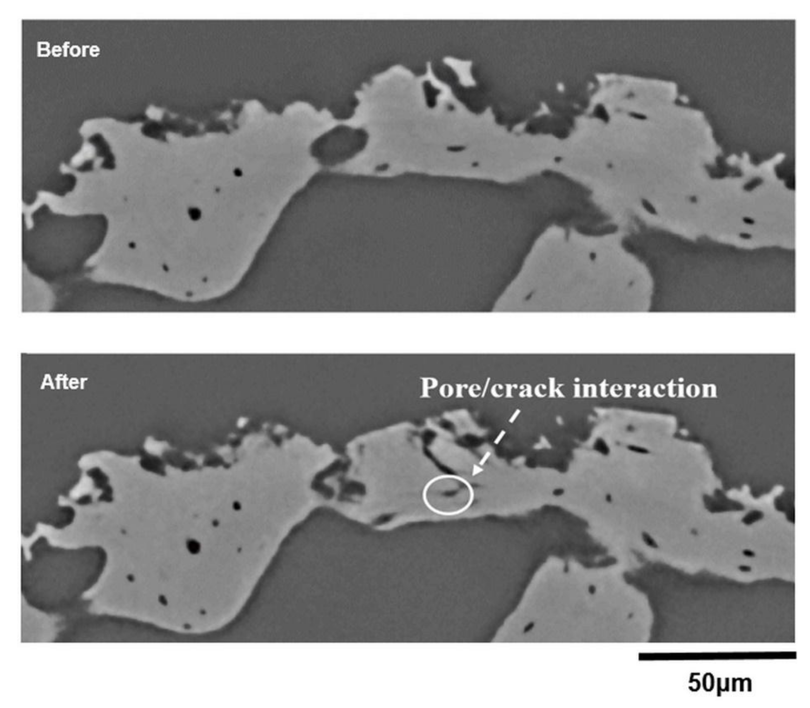 Materials 11 02533 g009