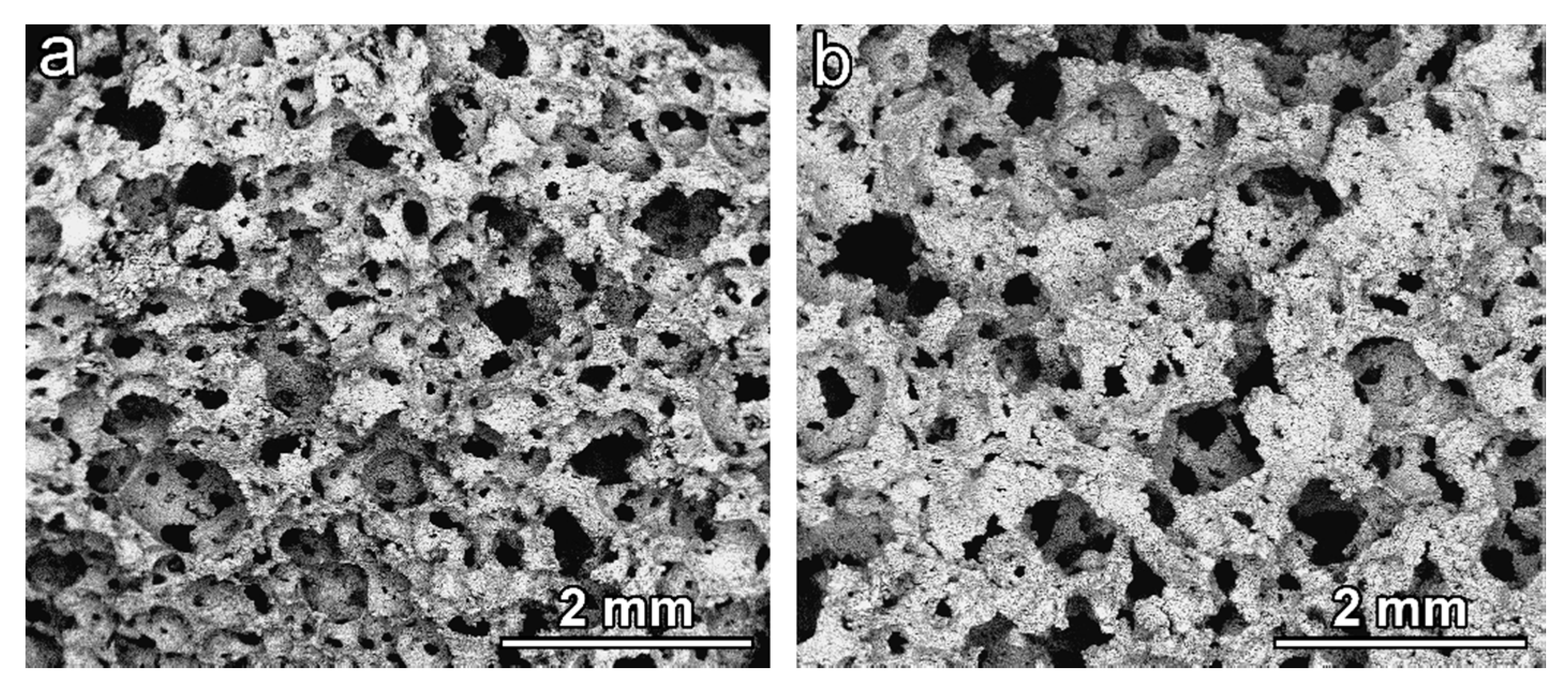 Materials 11 02545 g001