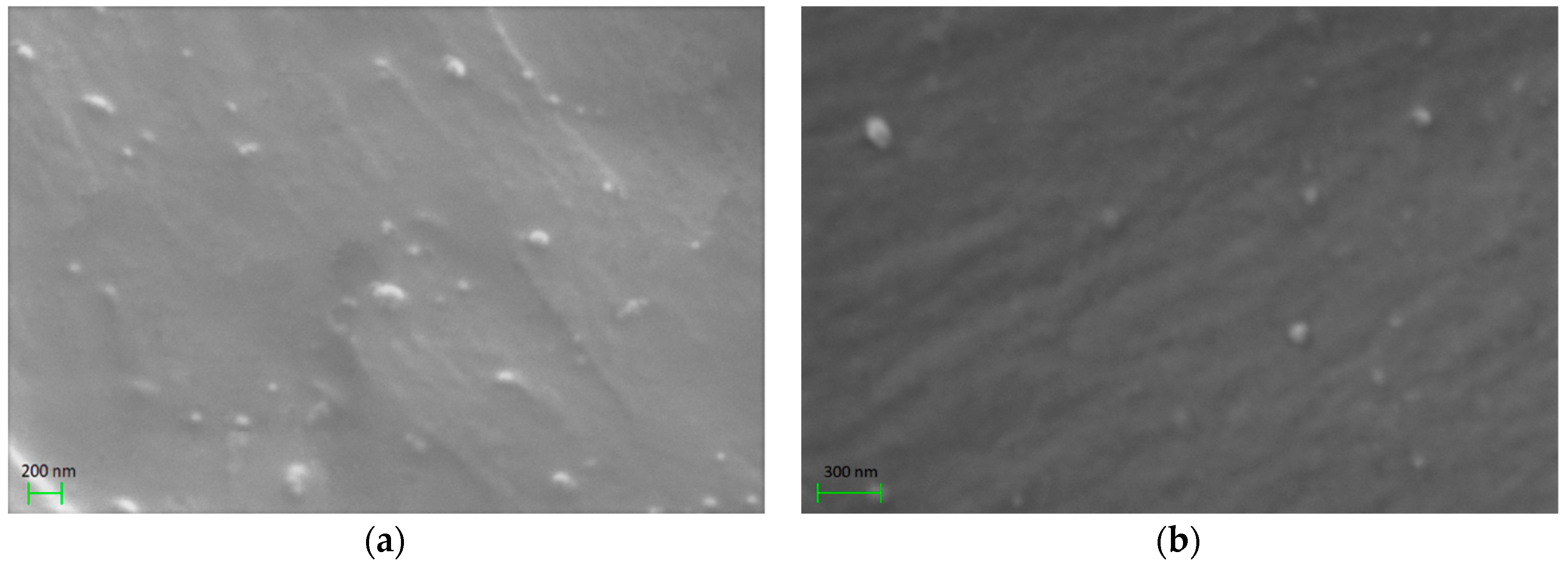 Materials 11 02551 g001