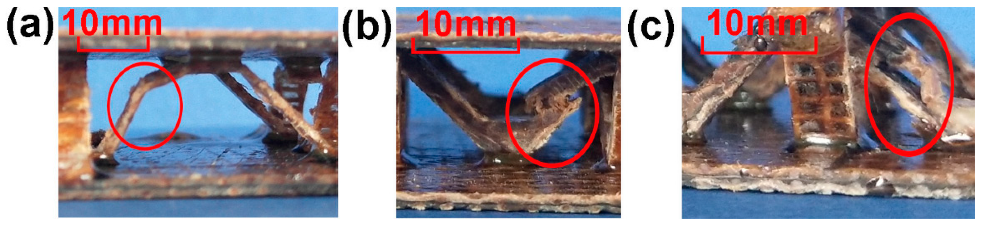 Materials 11 02578 g007 Materials 11 02578 g007