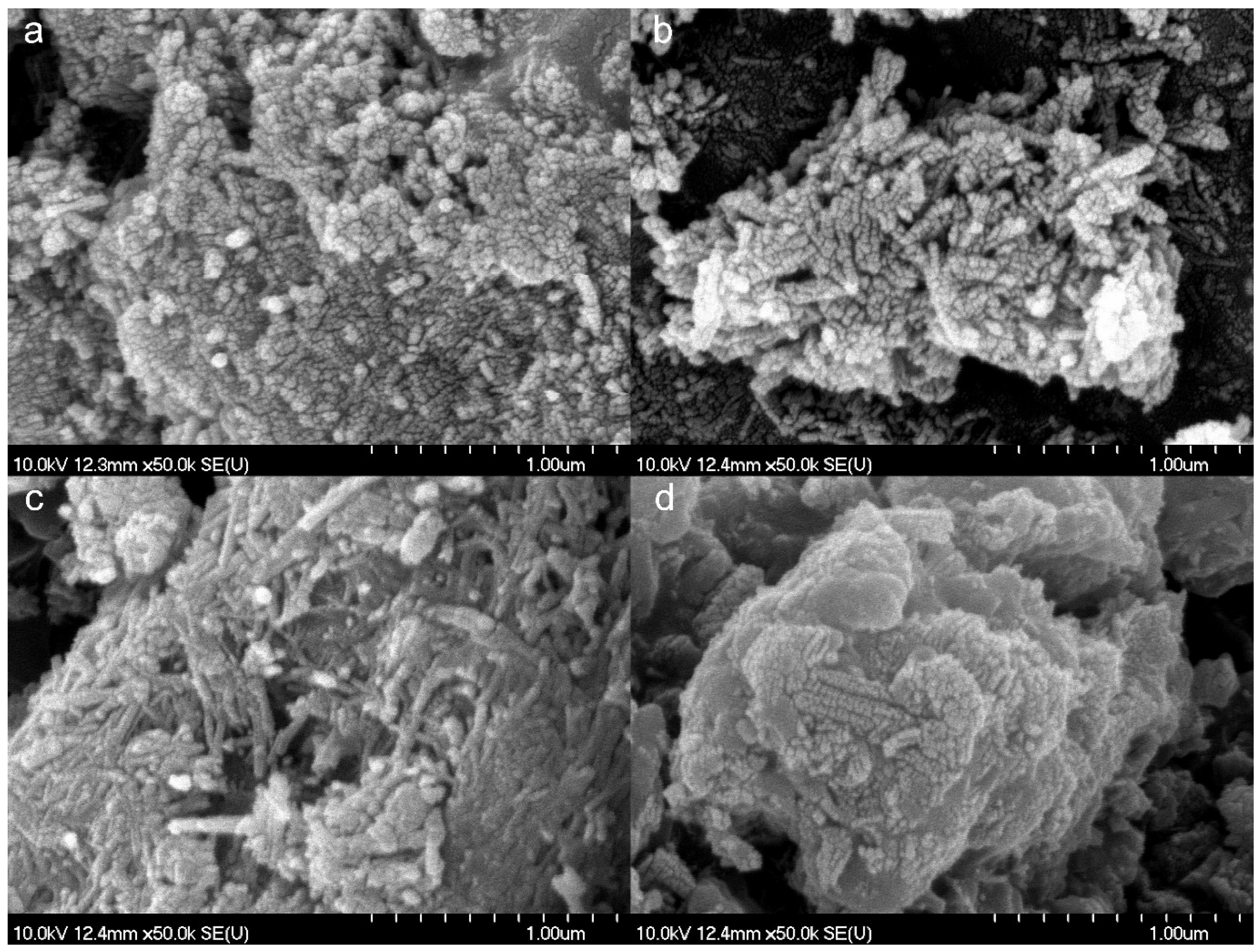 Materials 11 02582 g002