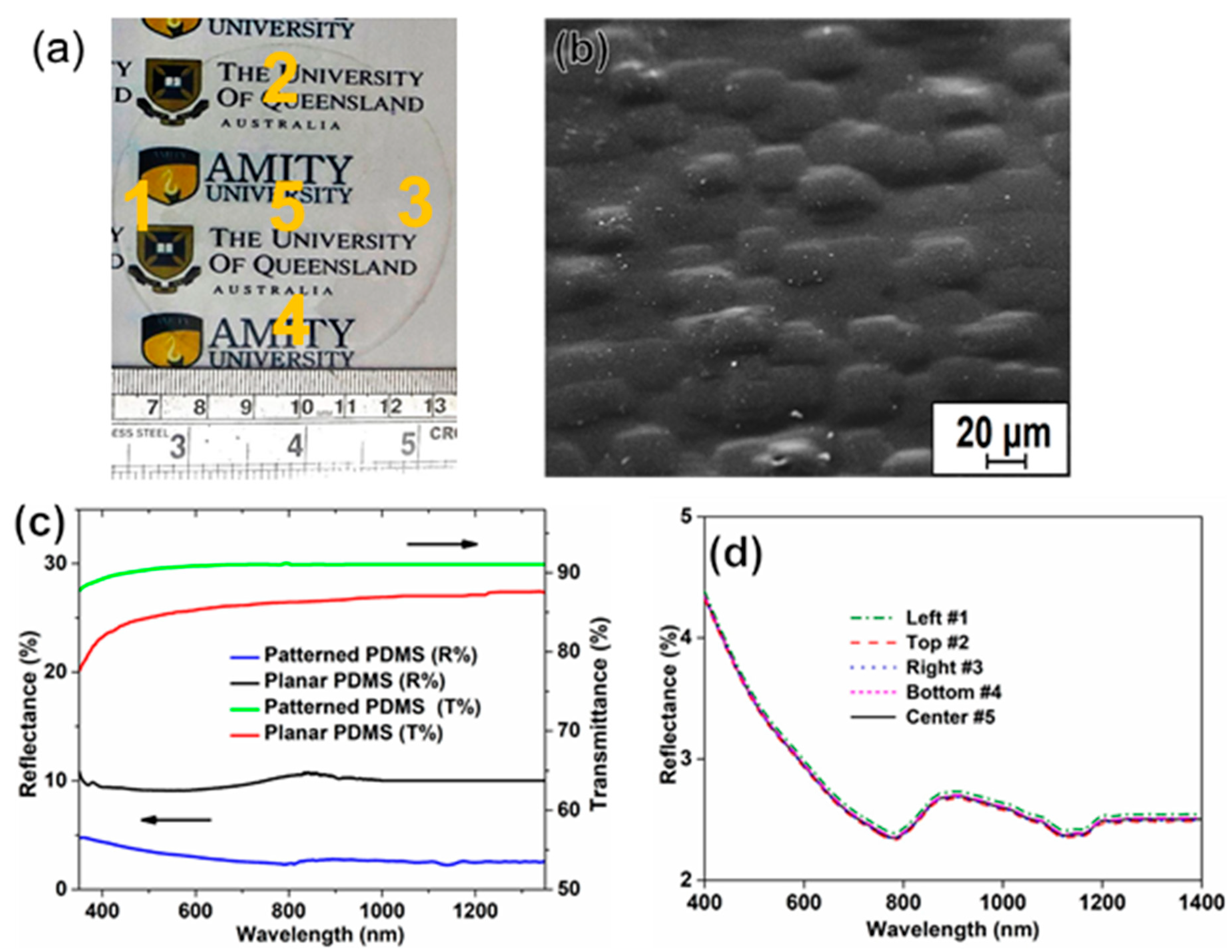 Materials 11 02586 g006 550