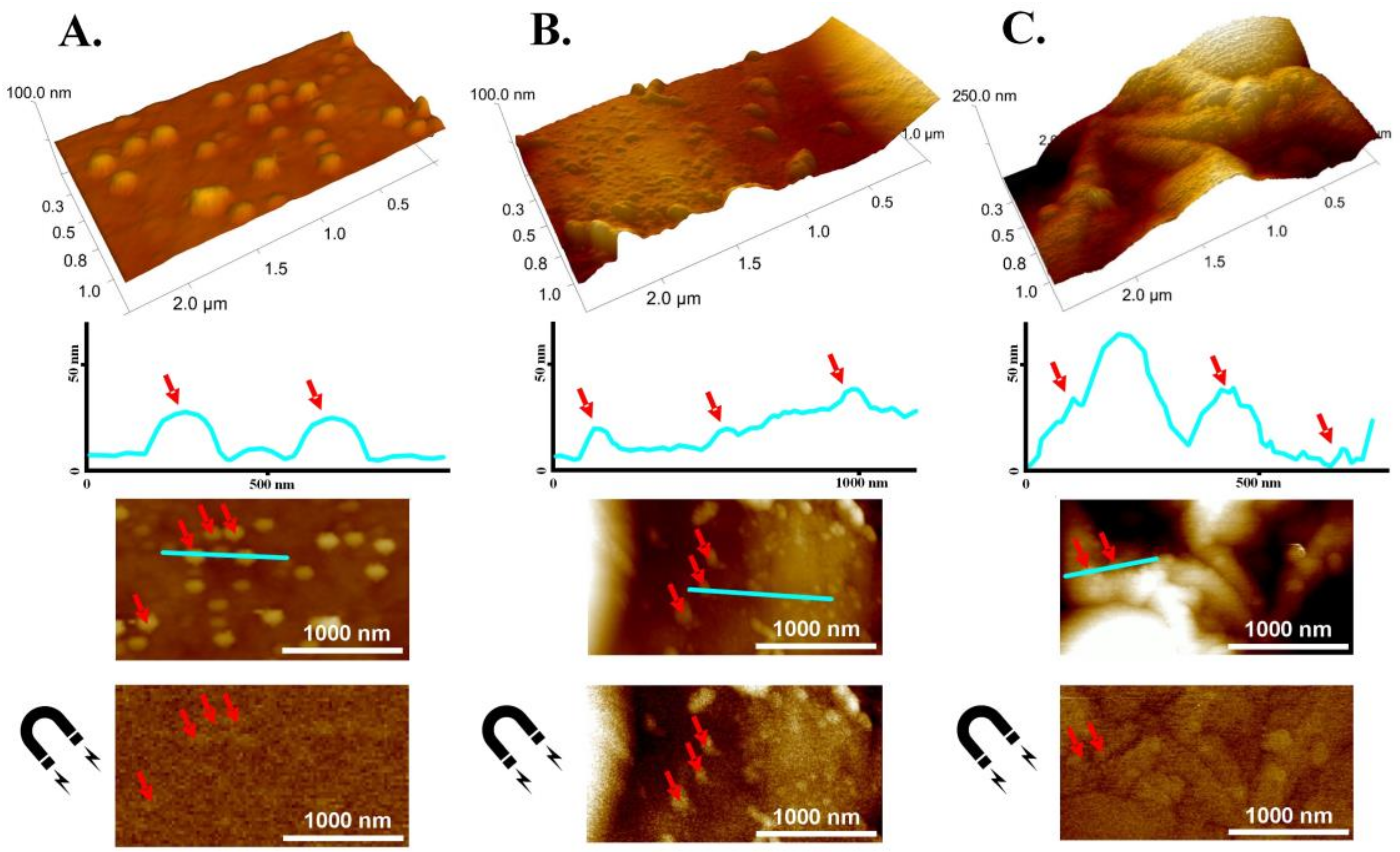 Materials 11 02595 g007