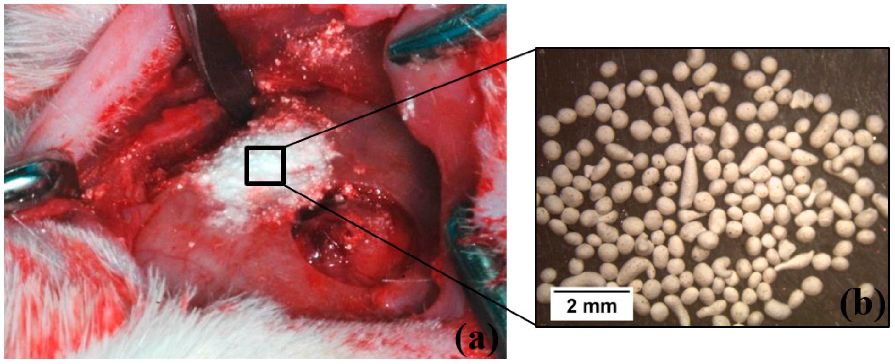 Materials 12 00004 g001 Materials 12 00004 g001