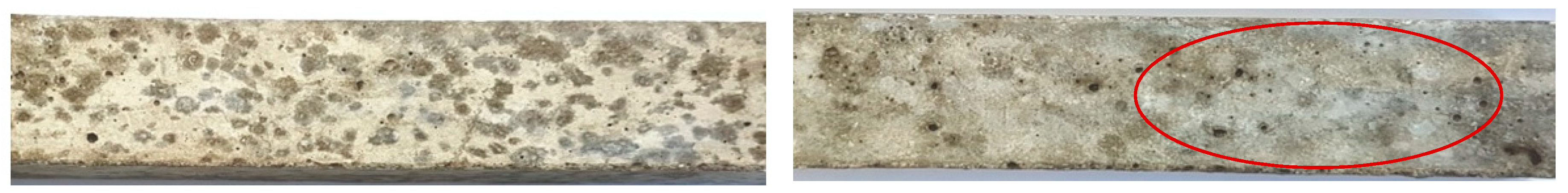 Materials 12 00020 g003 Materials 12 00020 g003