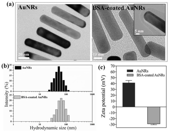 Photothermal Ablation of Cancer Cells by Albumin-Modified