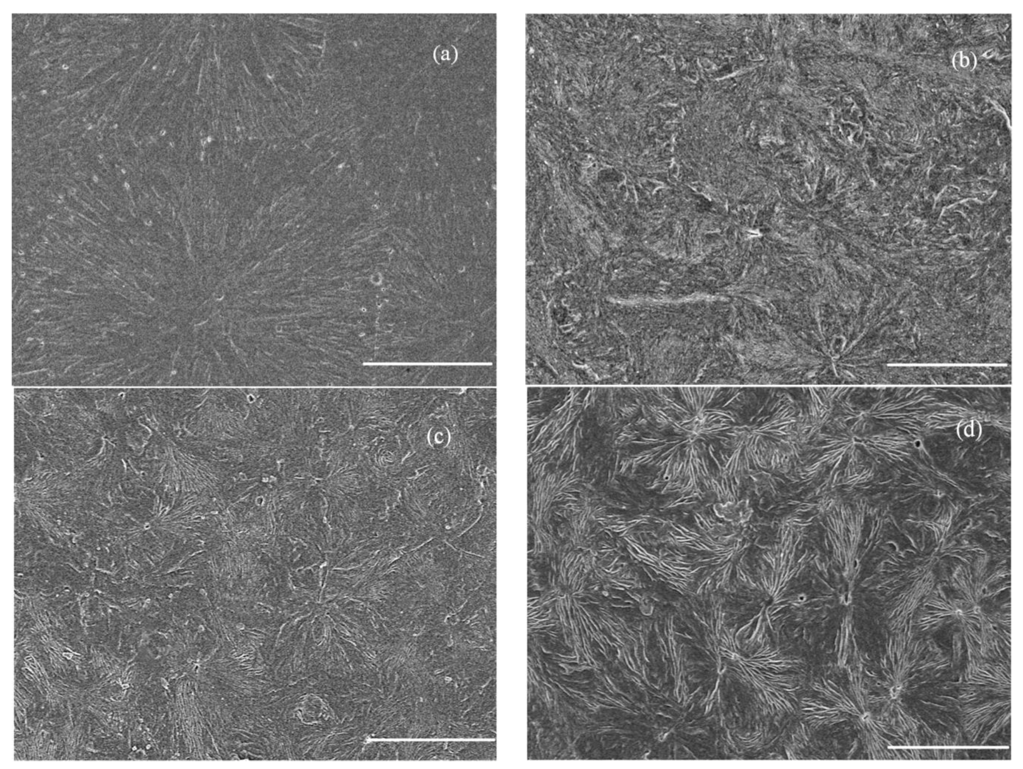 Materials 12 00042 g004 Materials 12 00042 g004