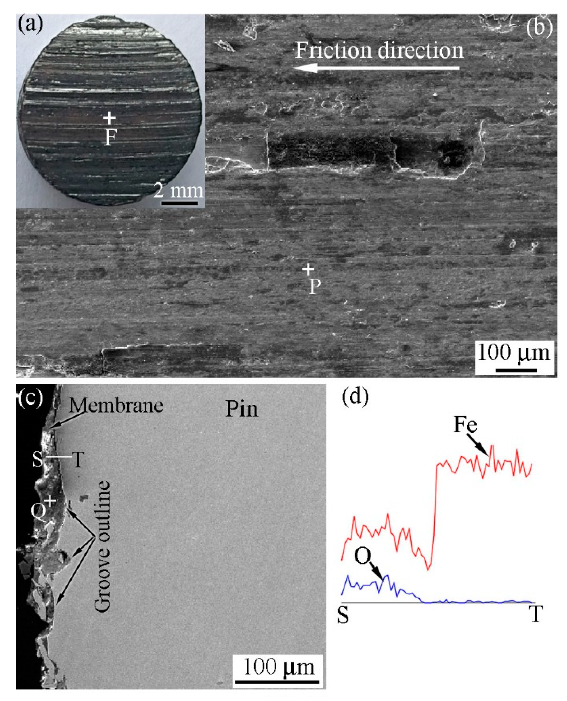 Materials 12 00045 g012