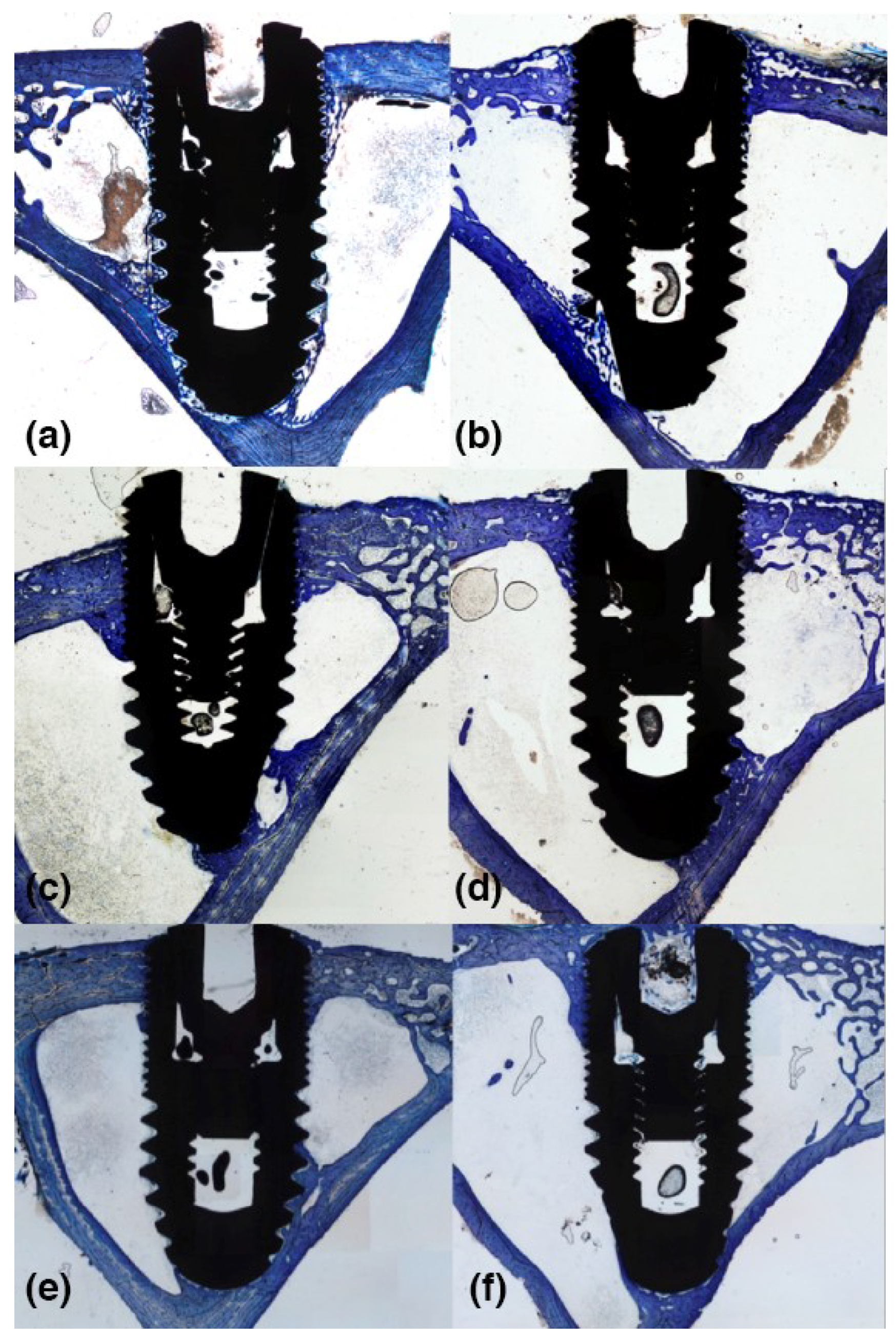 Materials 12 00085 g004 Materials 12 00085 g004