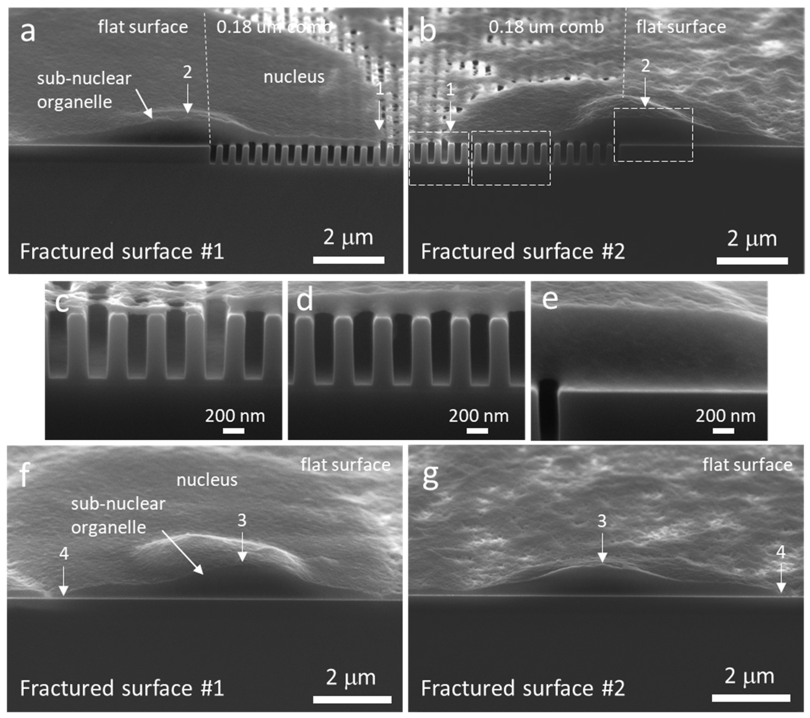 Materials 12 00114 g005 Materials 12 00114 g005