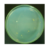 Materials 12 00127 i001