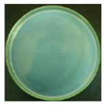 Materials 12 00127 i002