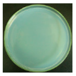 Materials 12 00127 i004