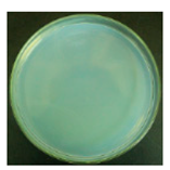 Materials 12 00127 i006