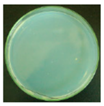 Materials 12 00127 i009