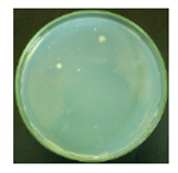 Materials 12 00127 i012