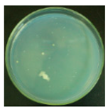 Materials 12 00127 i013