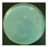 Materials 12 00127 i014