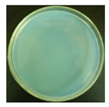 Materials 12 00127 i022