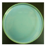 Materials 12 00127 i024