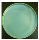 Materials 12 00127 i026