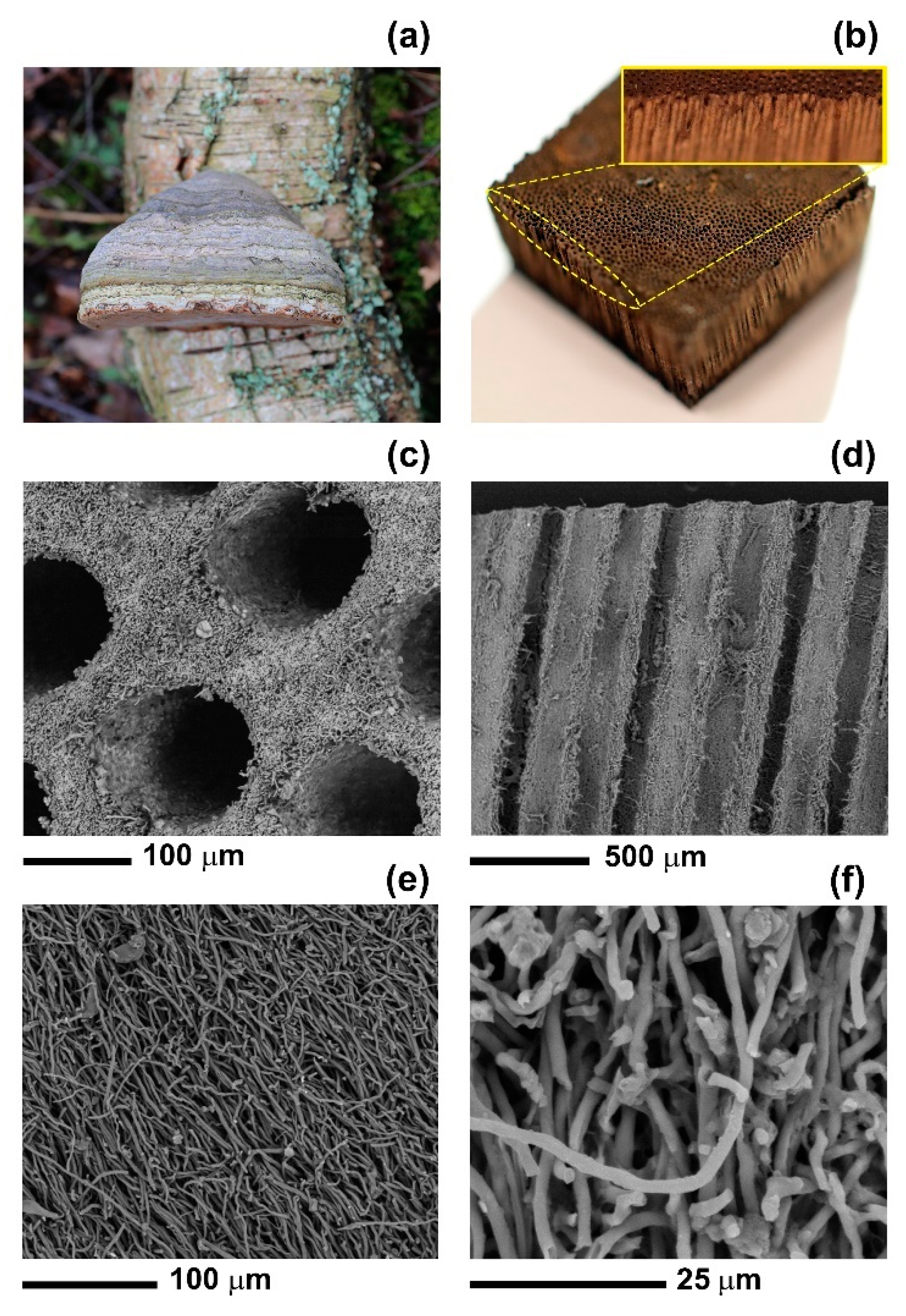 Materials 12 00132 g001 Materials 12 00132 g001