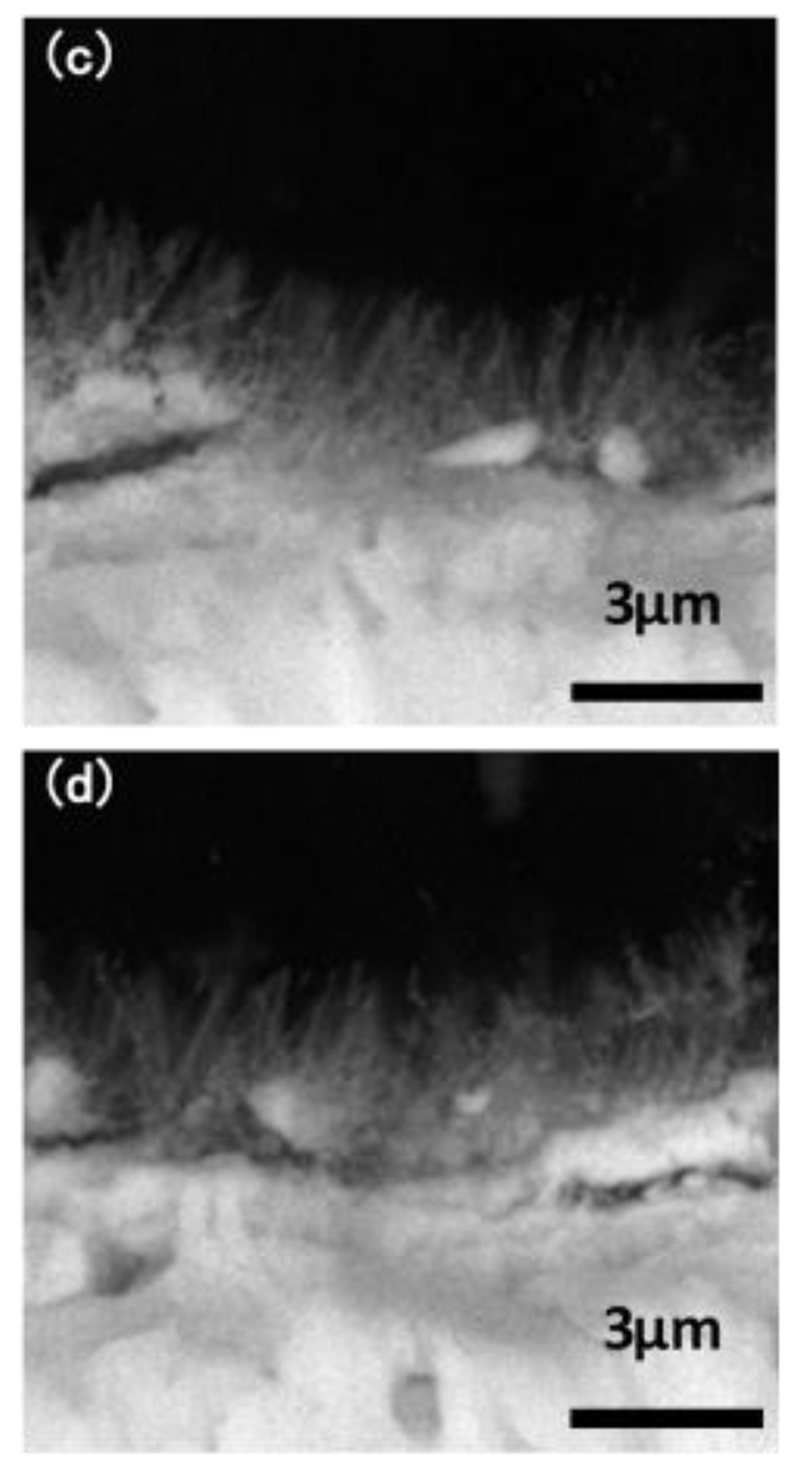 Materials 12 00134 g002b