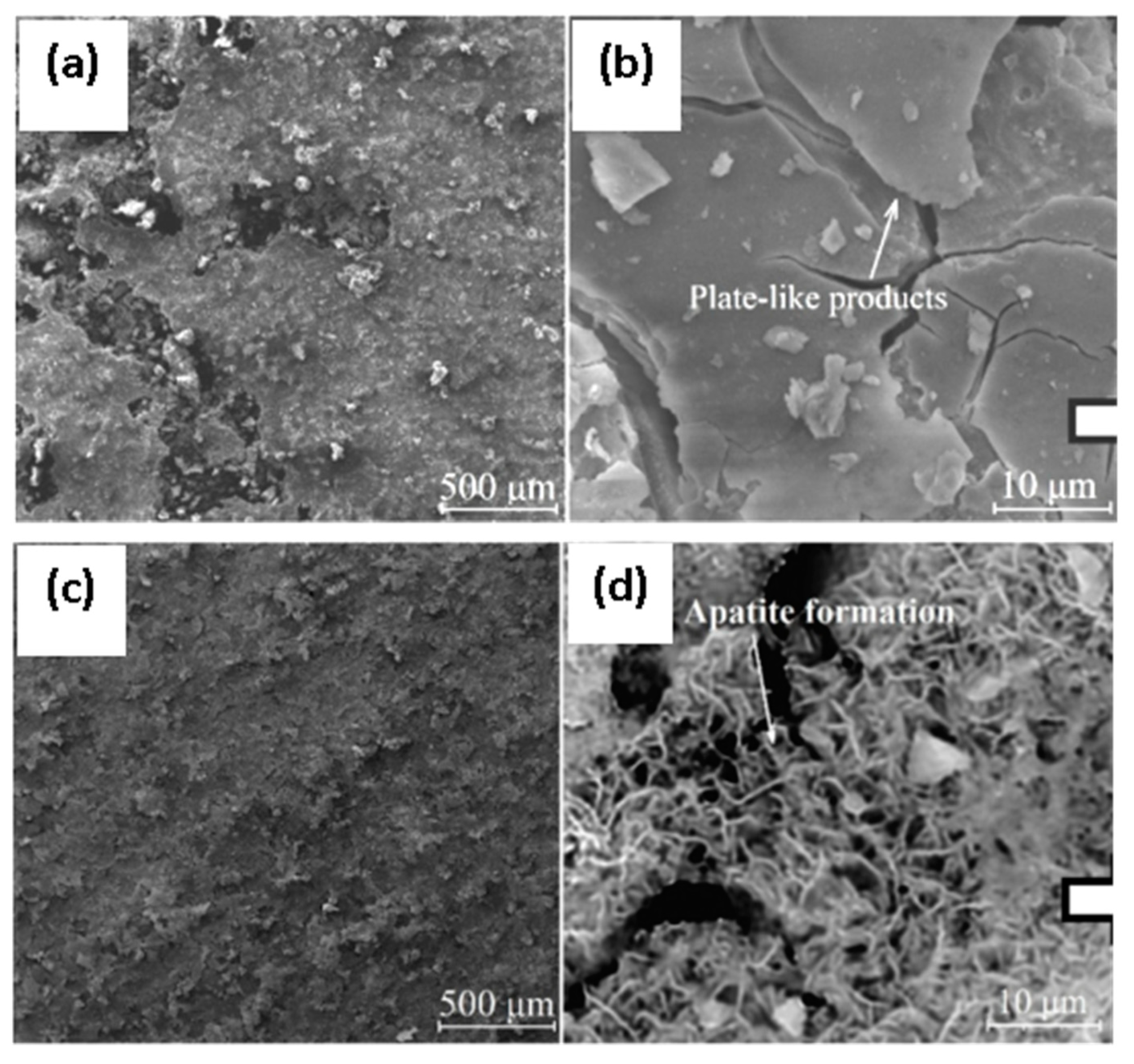 Materials 12 00136 g009 Materials 12 00136 g009