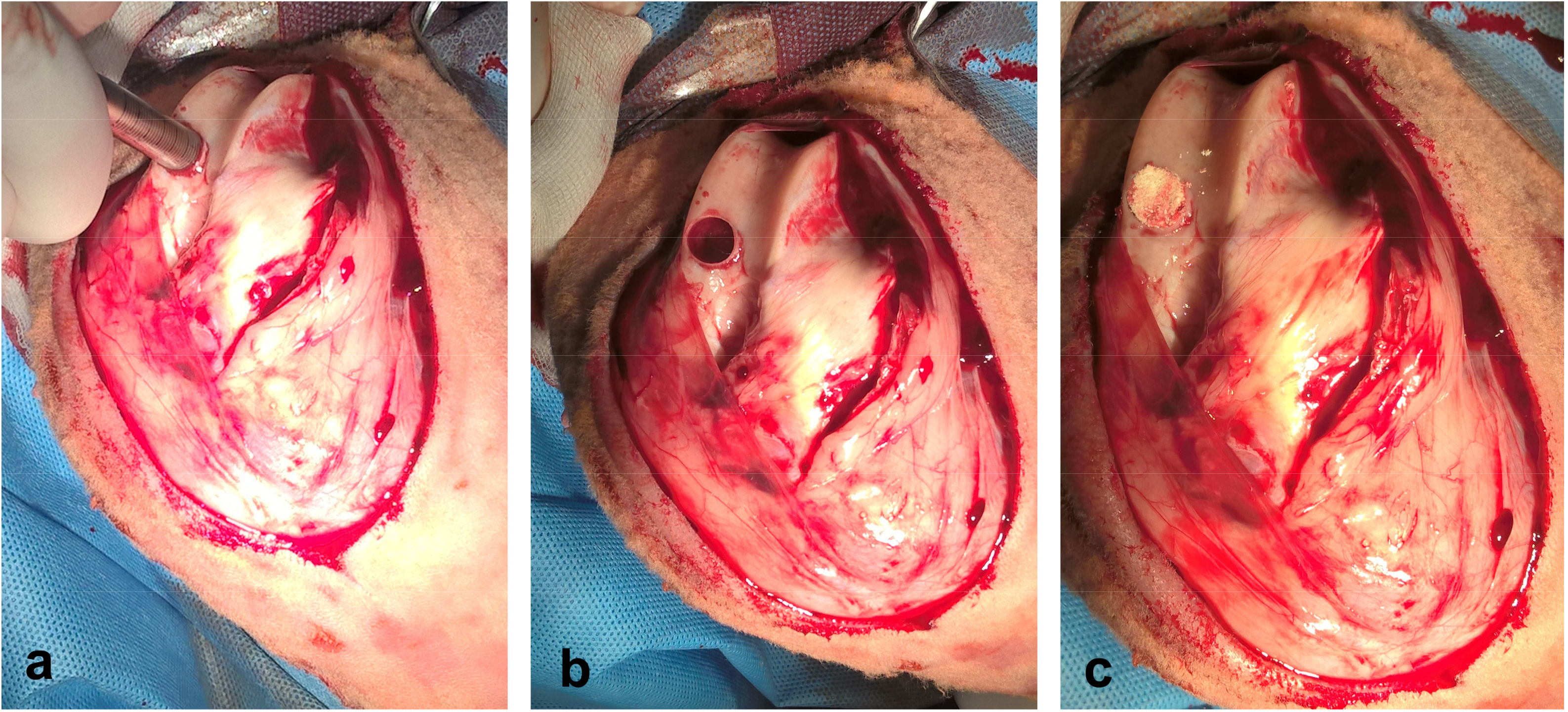 Materials 12 00142 g002