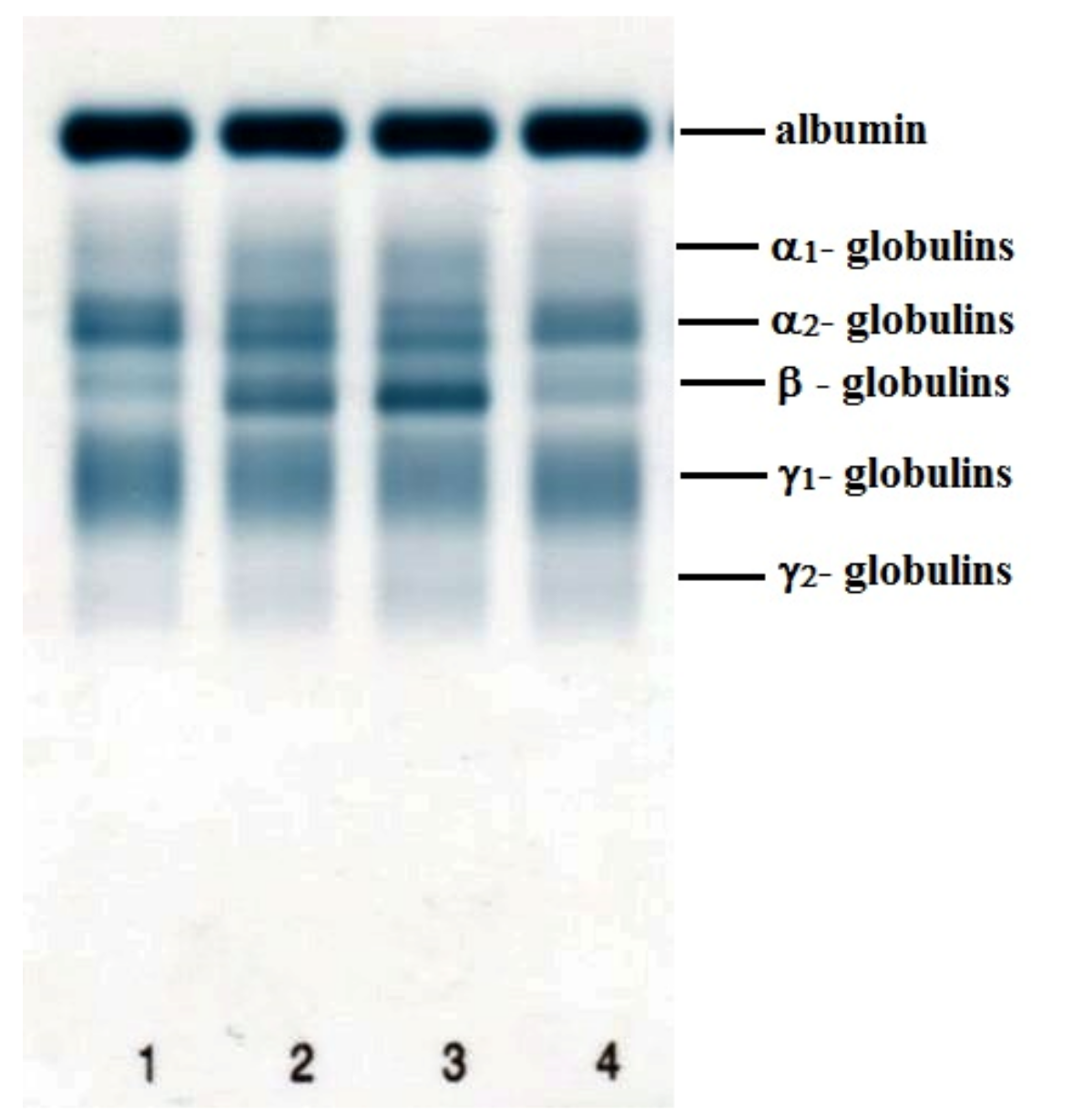 Materials 12 00142 g004