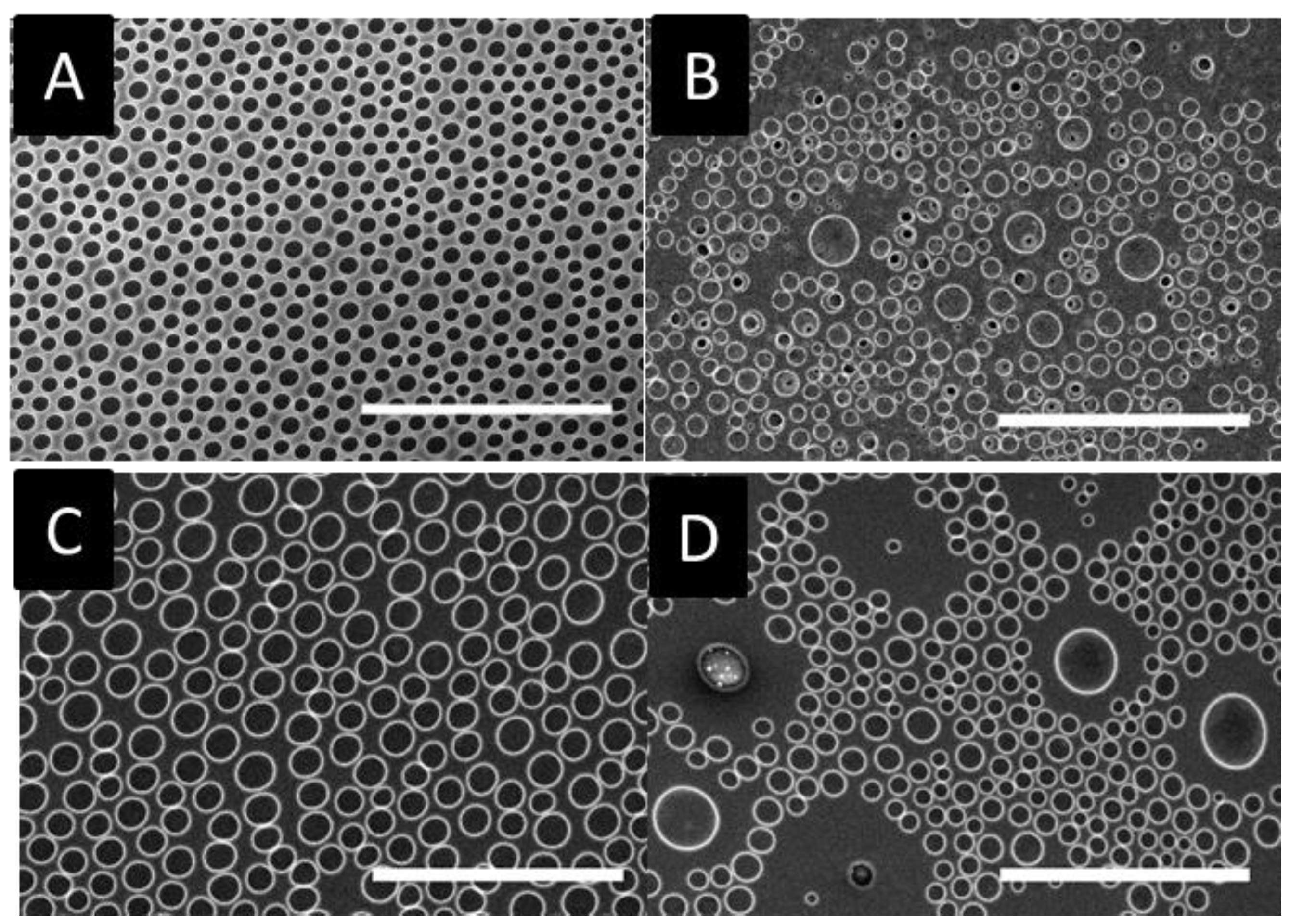 Materials 12 00167 g007