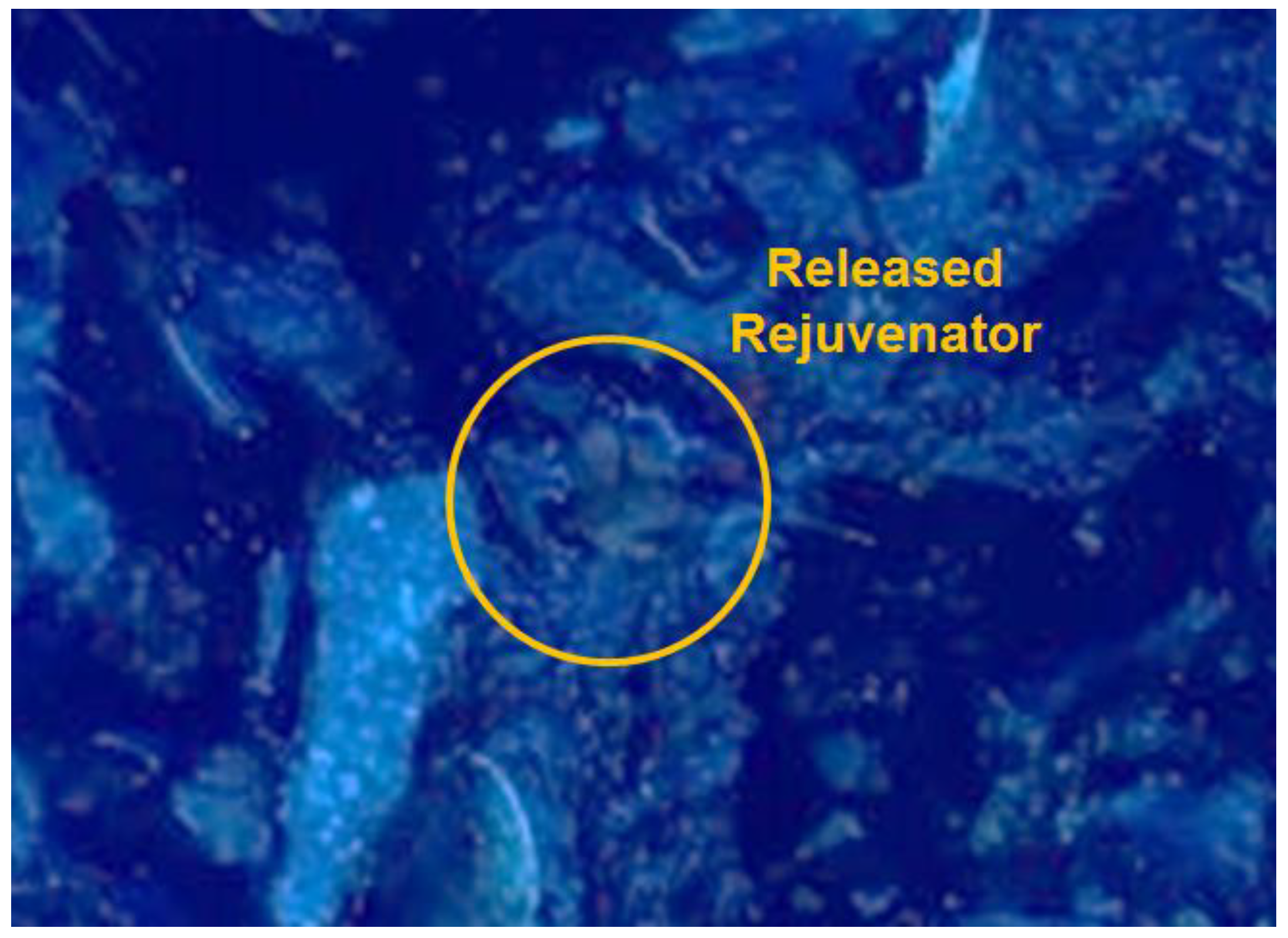 Materials 12 00168 g010 Materials 12 00168 g010