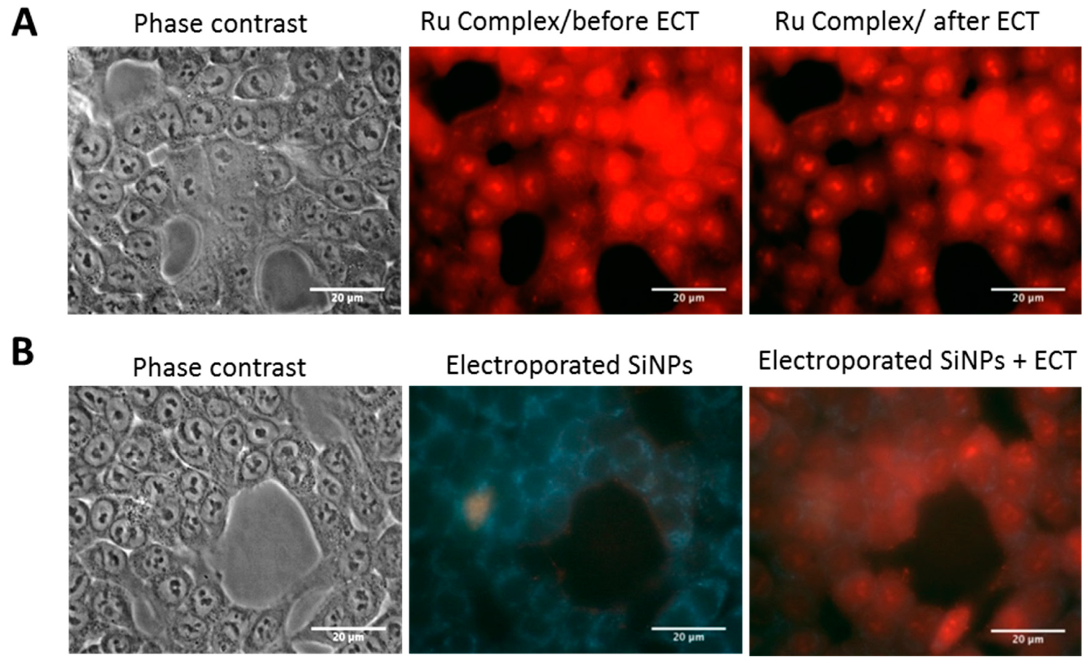 Materials 12 00179 g007