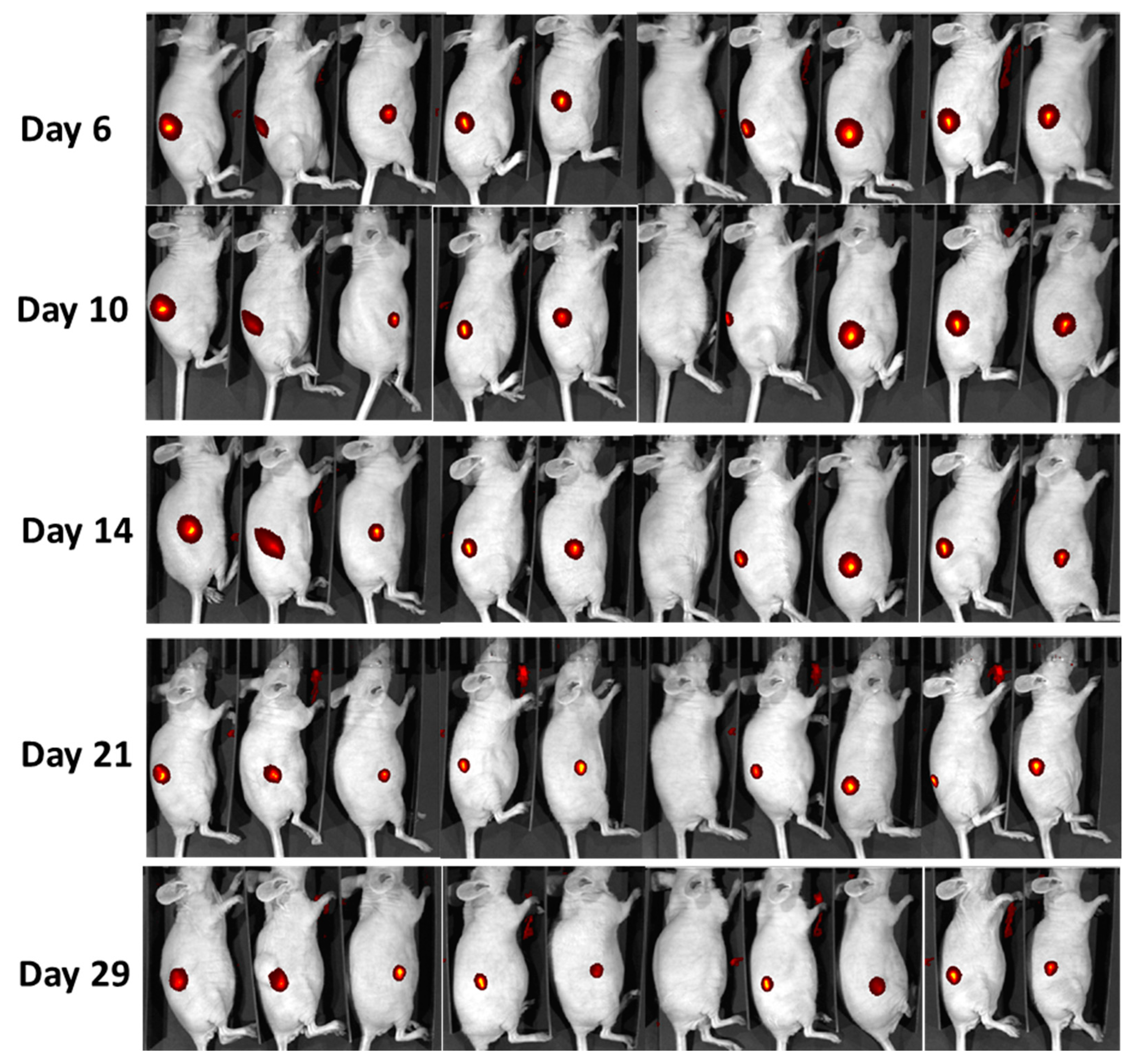Materials 12 00179 g008