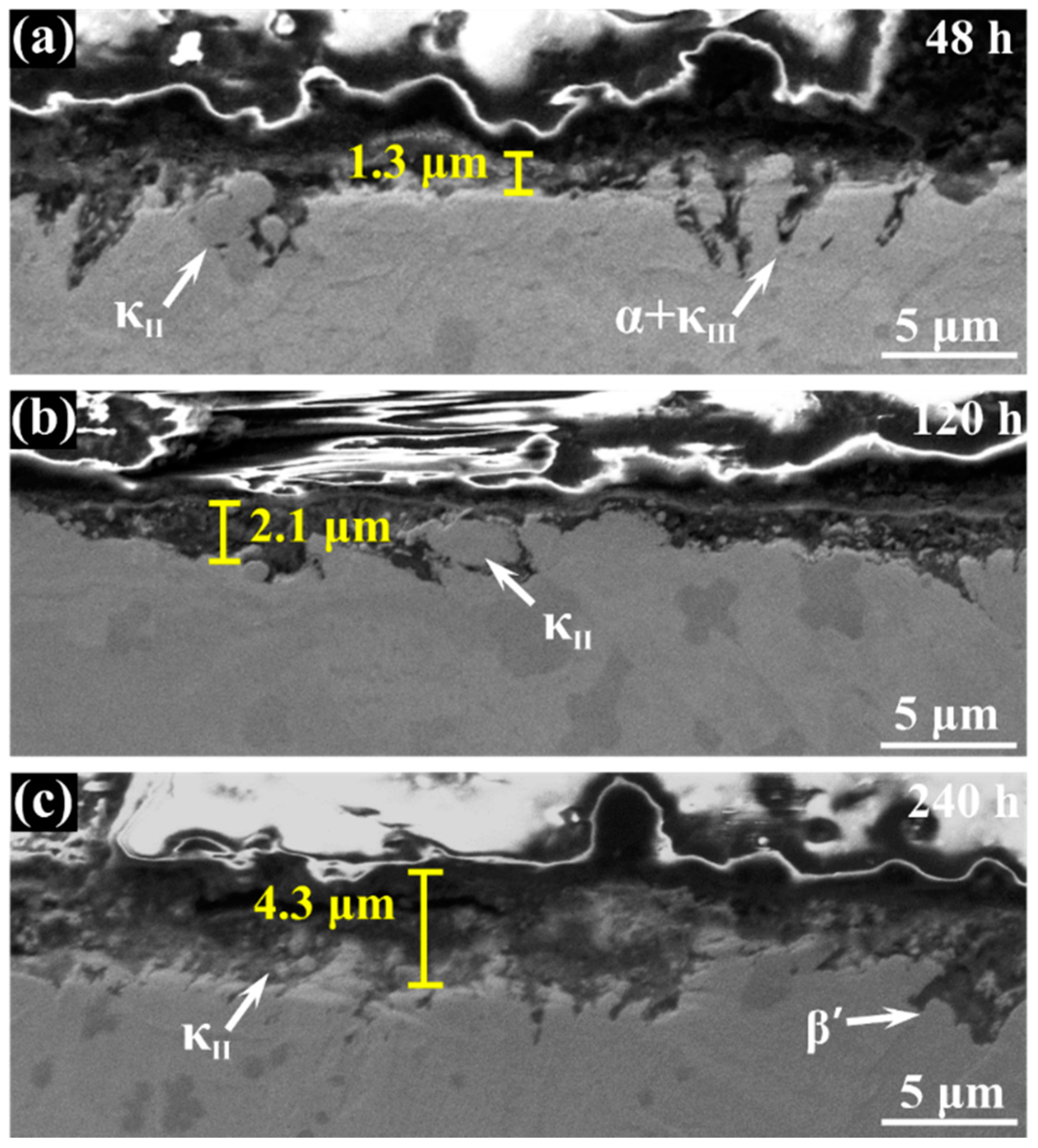 Materials 12 00209 g003