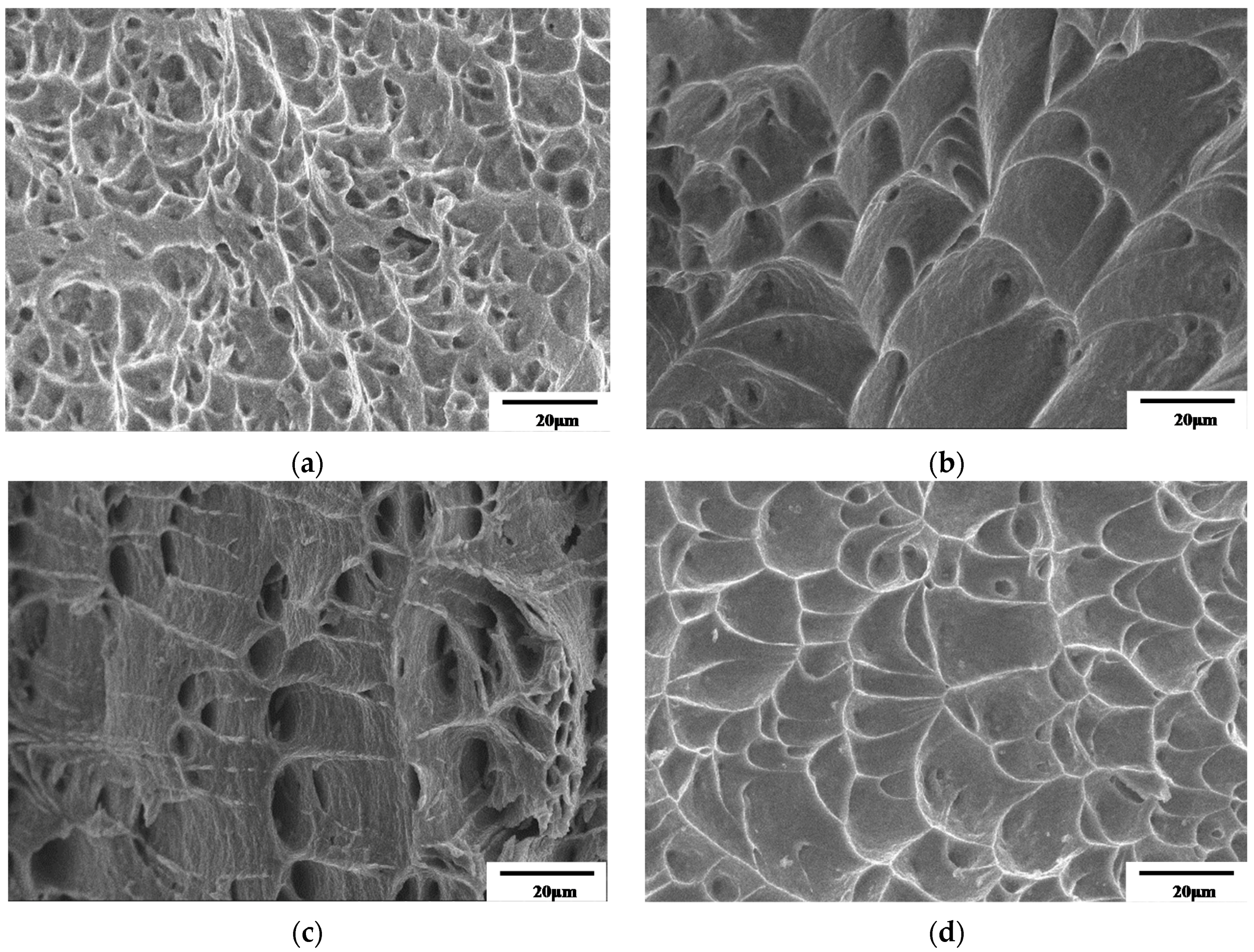 Materials 12 00223 g006