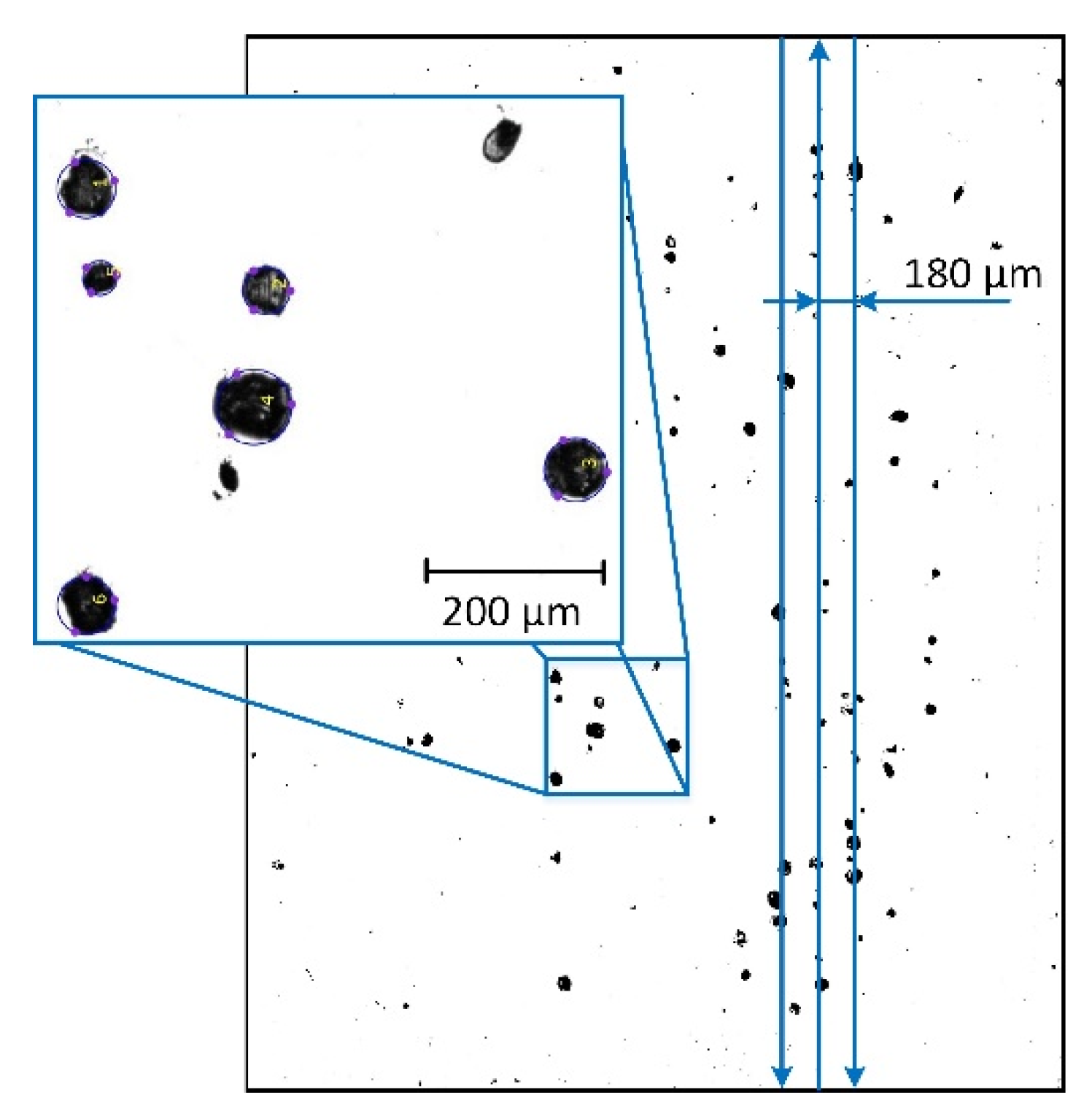 Materials 12 00239 g008 Materials 12 00239 g008