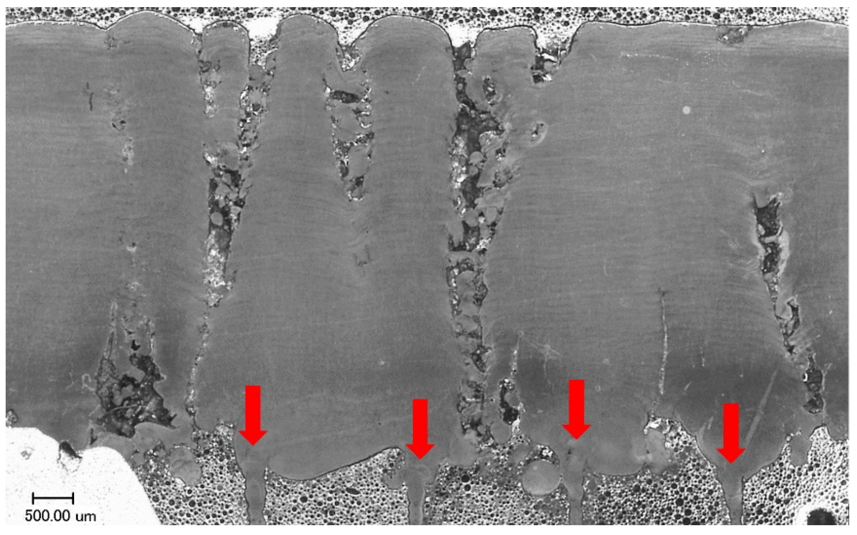 Materials 12 00239 g012 Materials 12 00239 g012