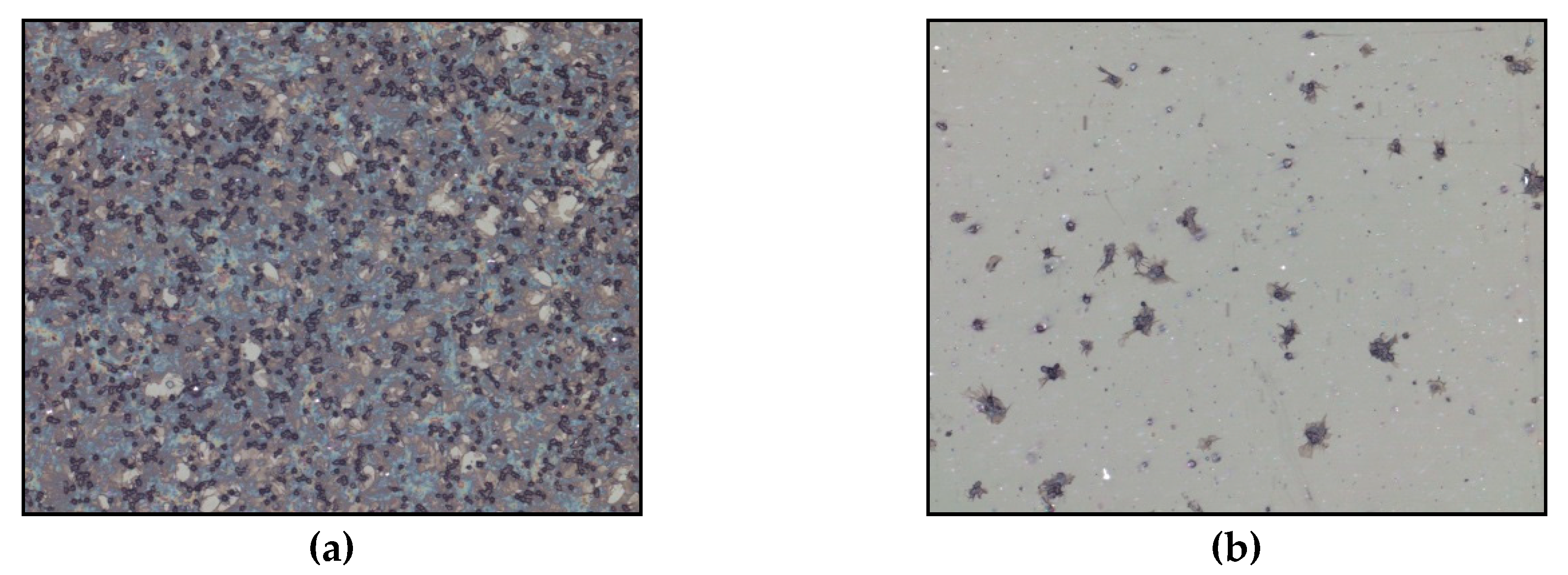 Materials 12 00240 g004 Materials 12 00240 g004